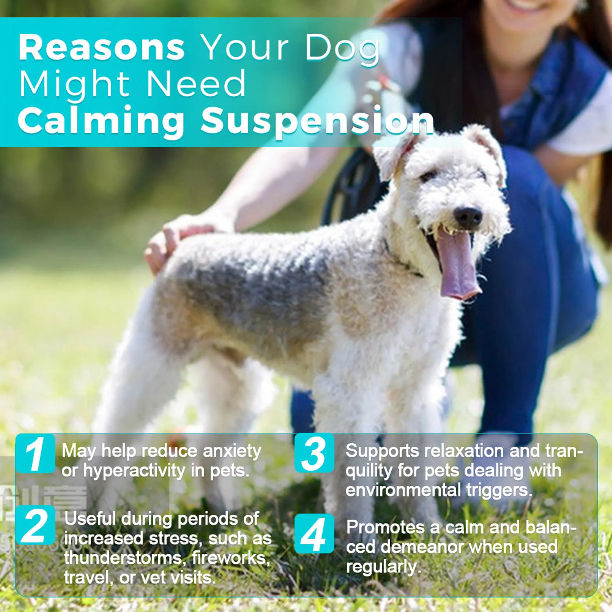 Paws & Calm! Canadian Calming Comfort Drops  60mL