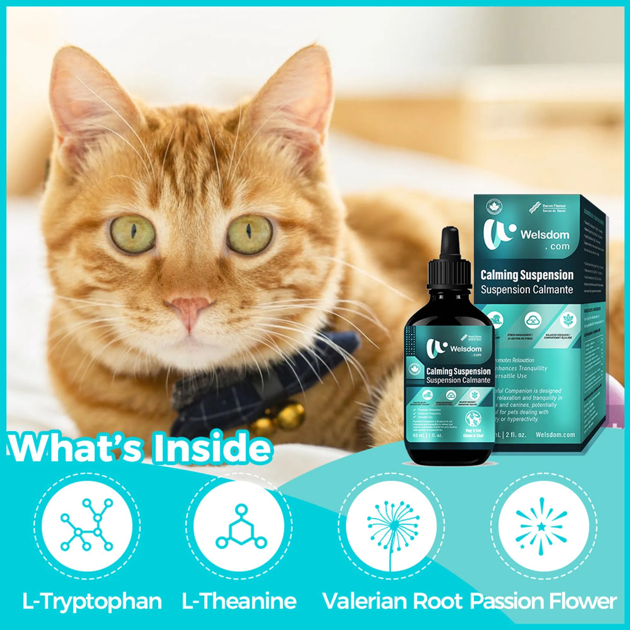 Paws & Calm! Canadian Calming Comfort Drops  60mL