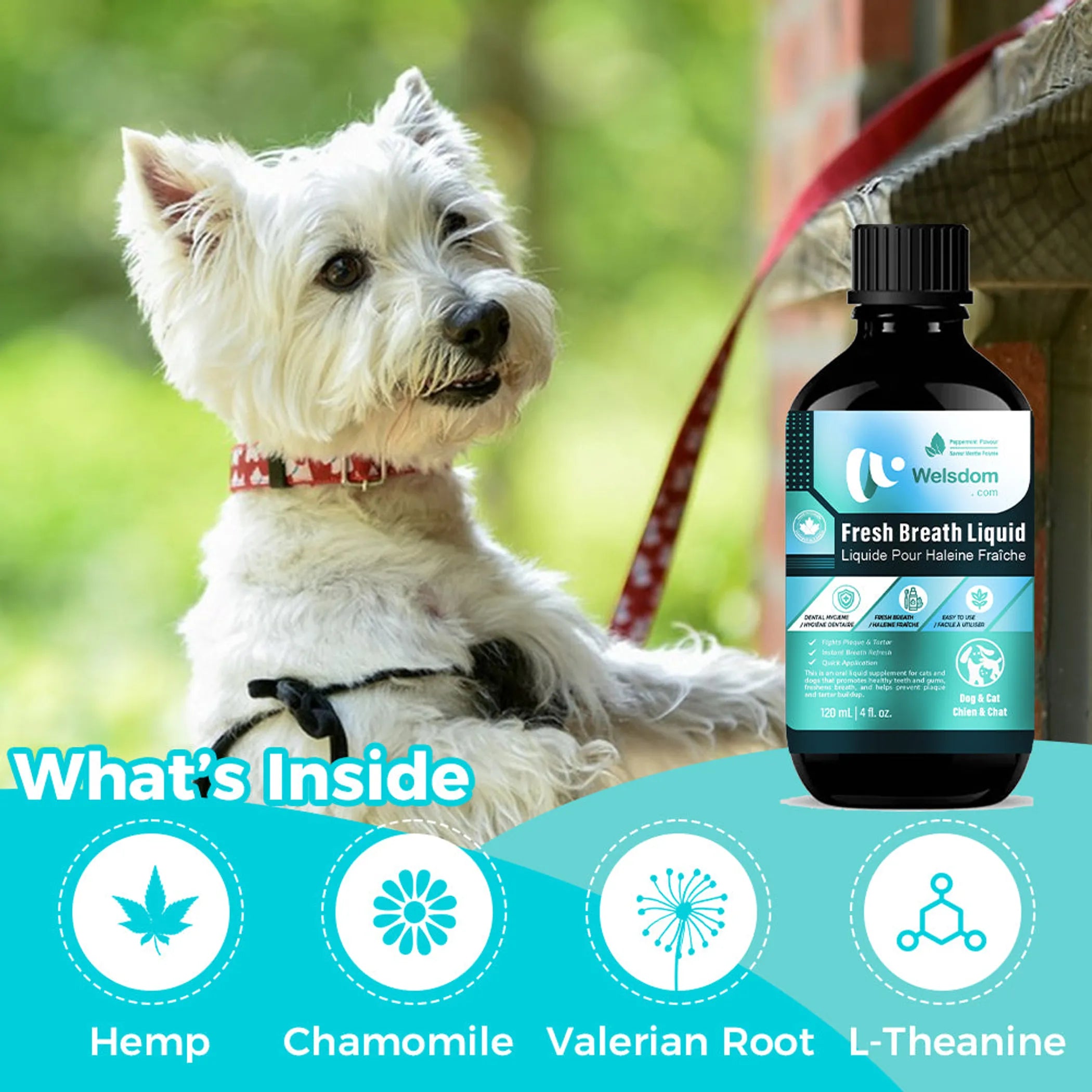 Fresh Breath Liquid  Canadian Dental Water Additive (120mL)