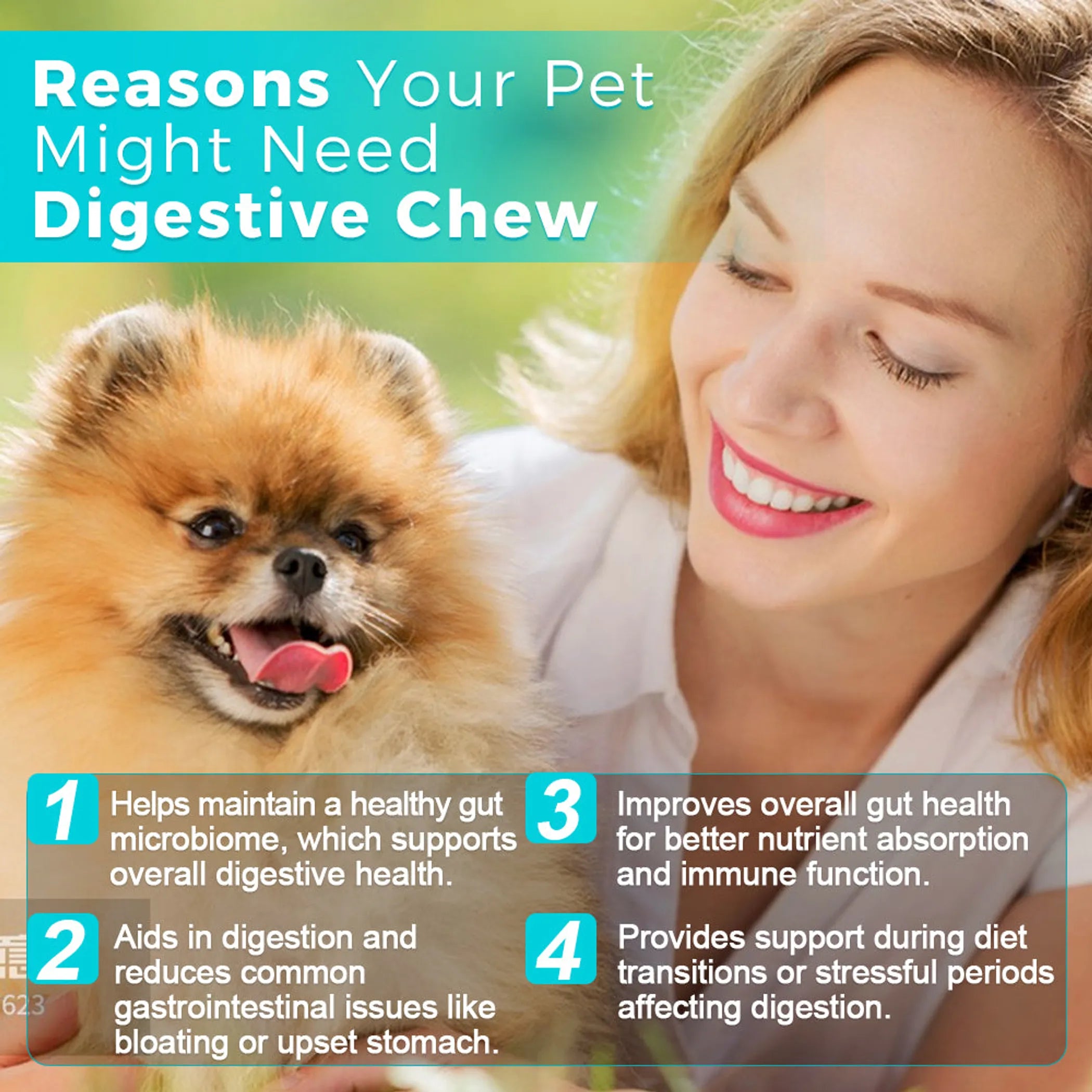 Digestive Chews - 30 Chews