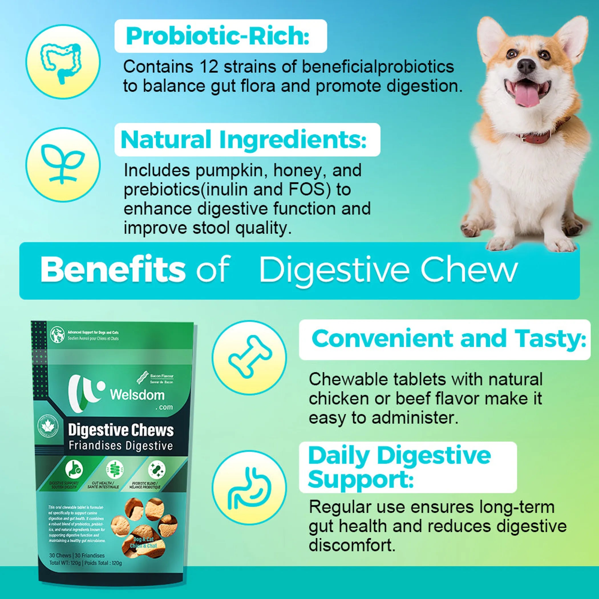Digestive Chews - 30 Chews