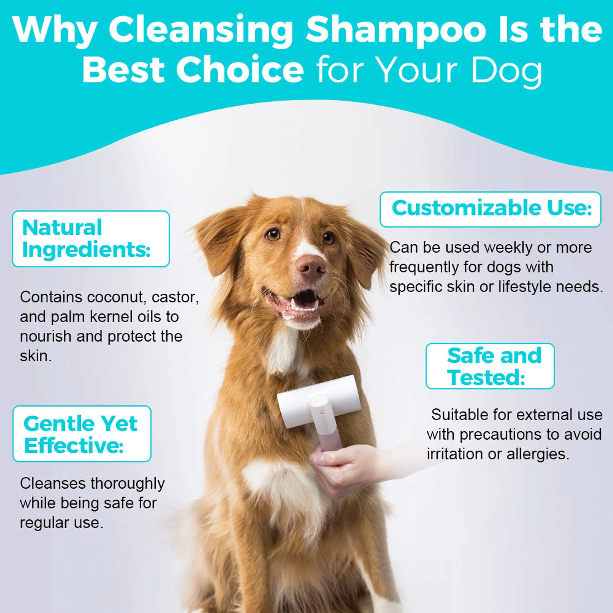 Cleansing Shampoo
