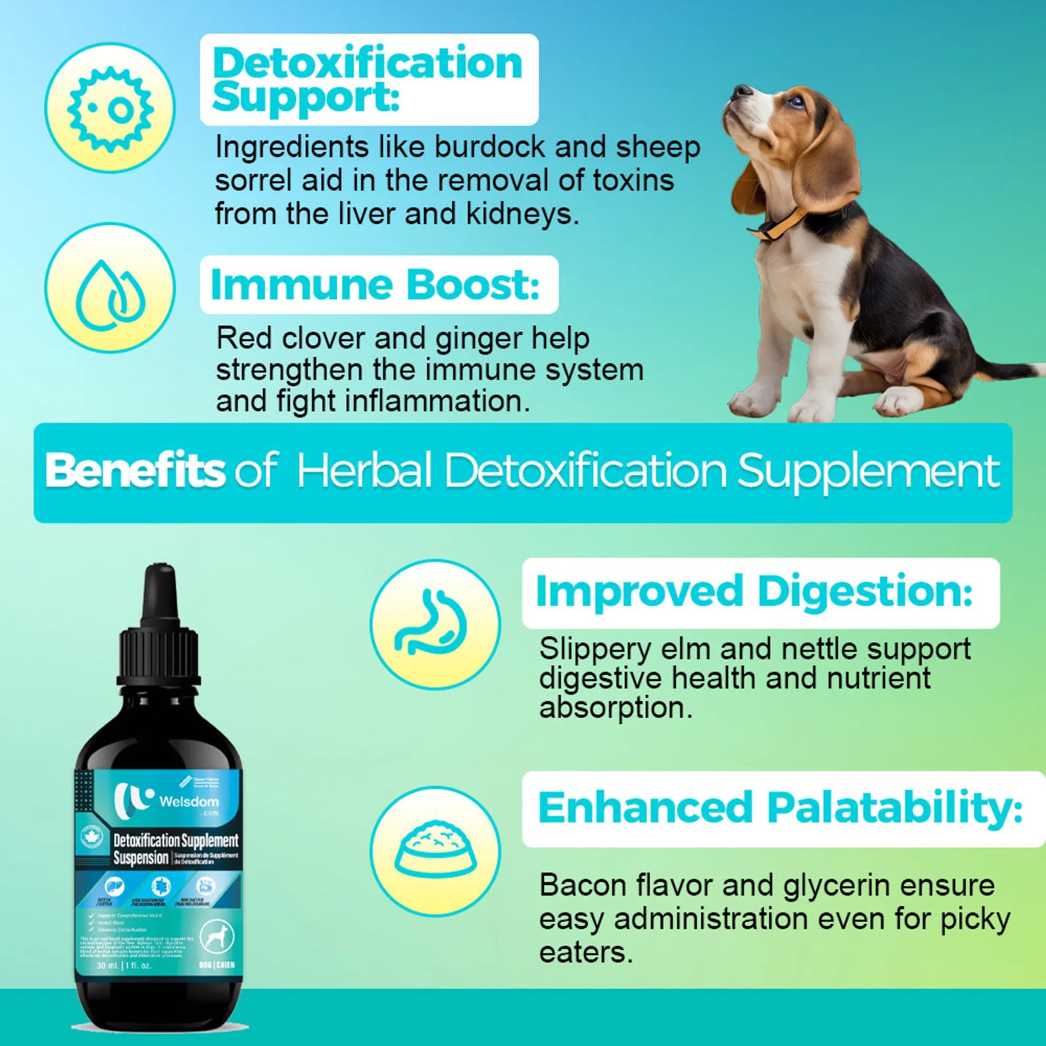 Detoxification Supplement Suspension - 30mL