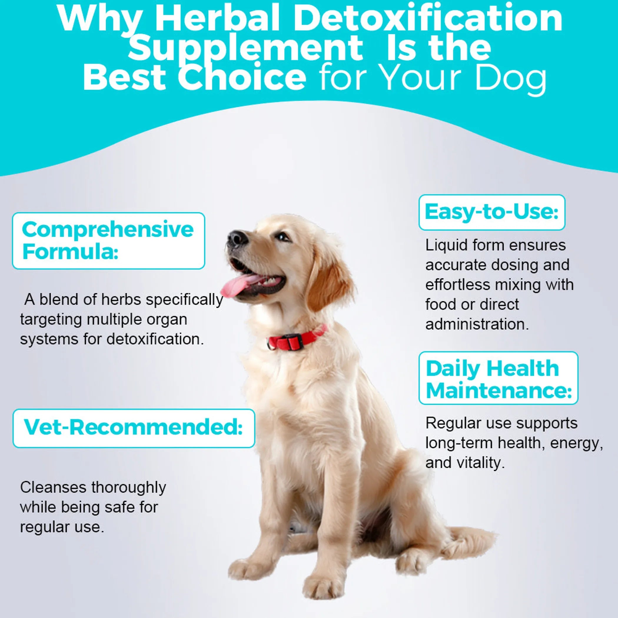 Detoxification Supplement Suspension - 30mL