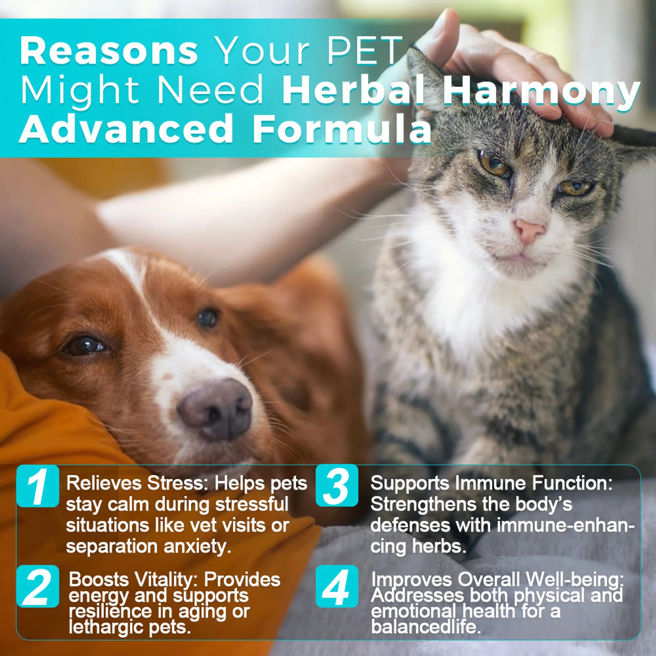Herbal Harmony Advanced Suspension - 30mL