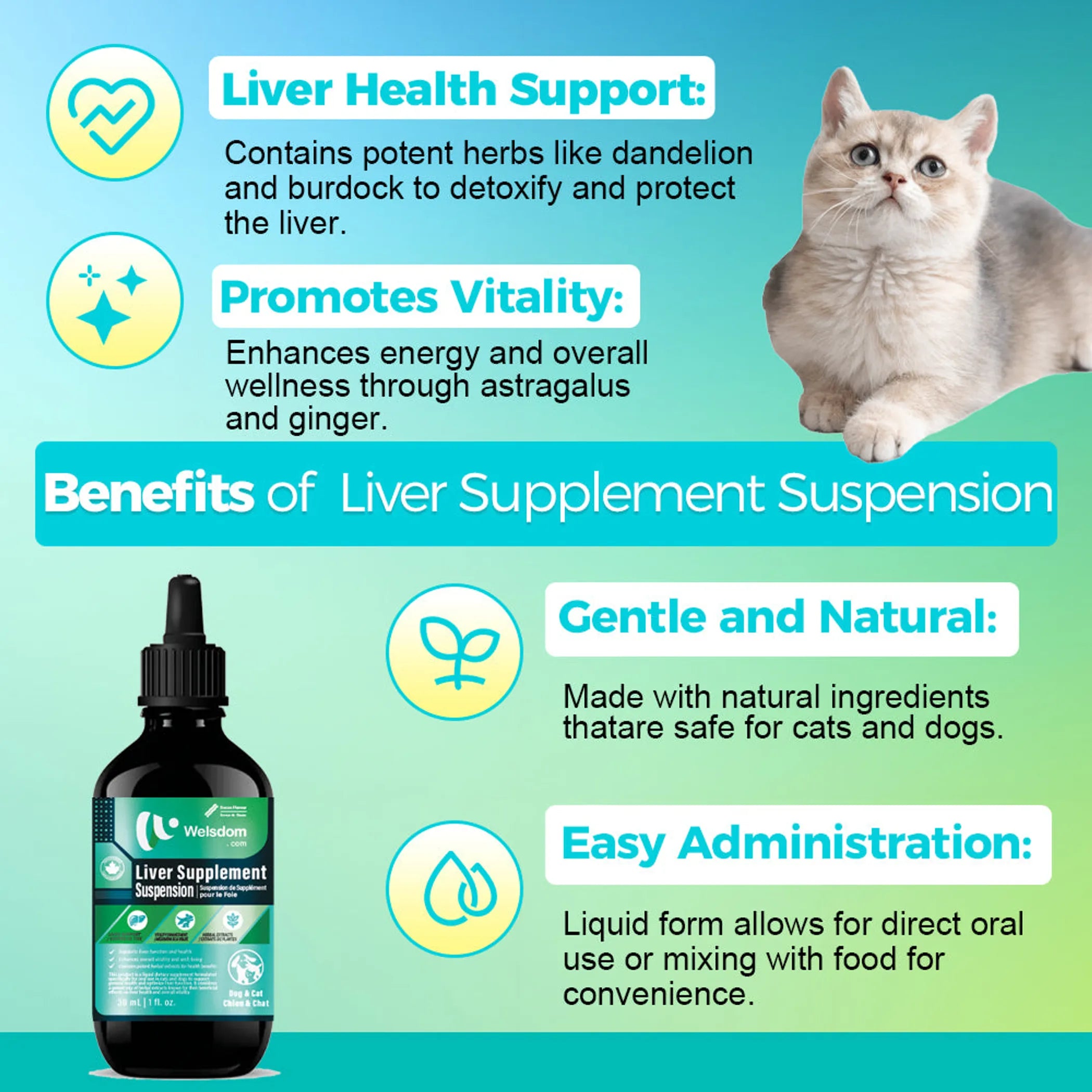 Liver Supplement Suspension - 30mL