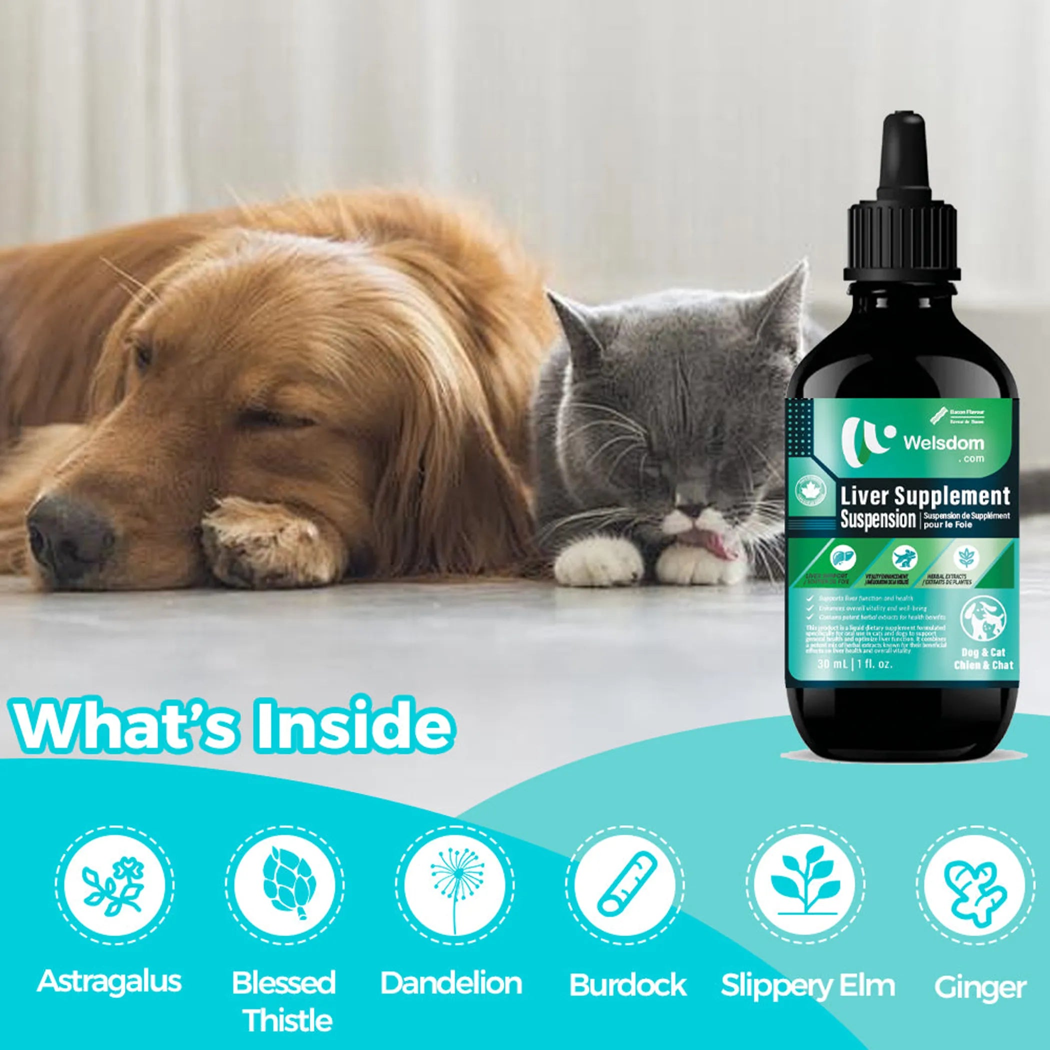 Liver Supplement Suspension - 30mL