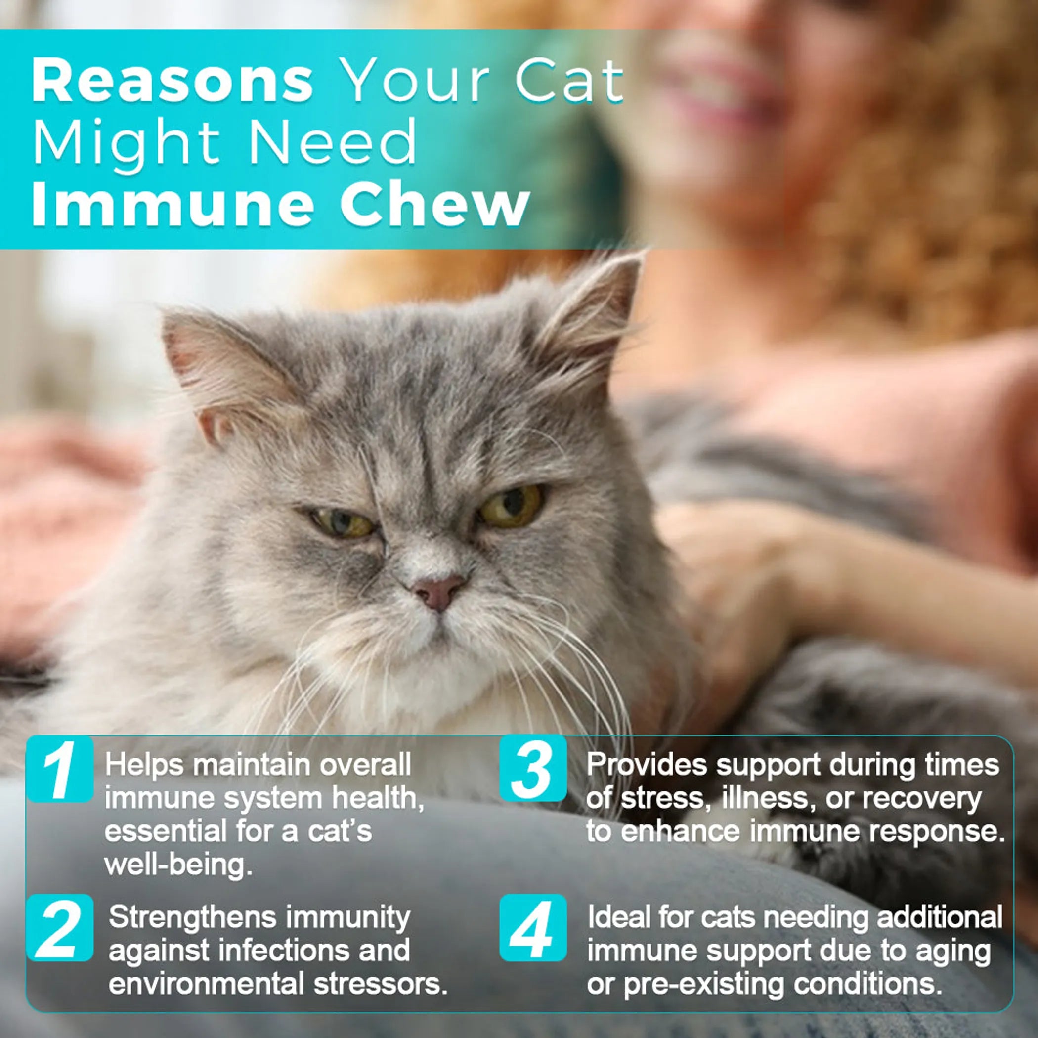 Cat Immune Chews - 60 Chews