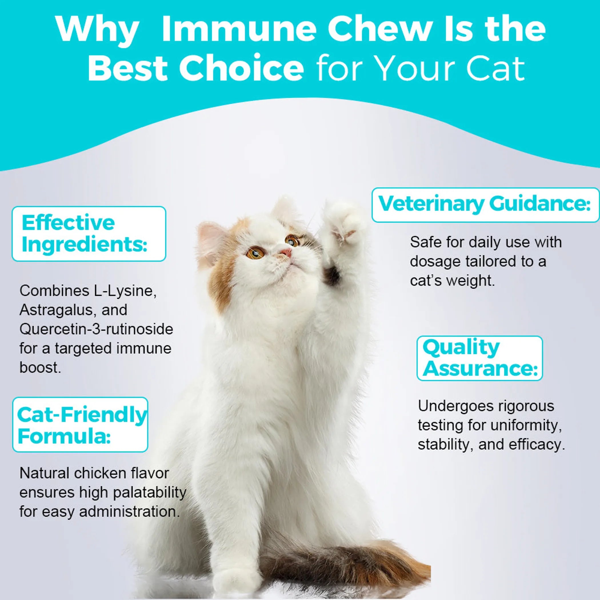 Cat Immune Chews - 60 Chews