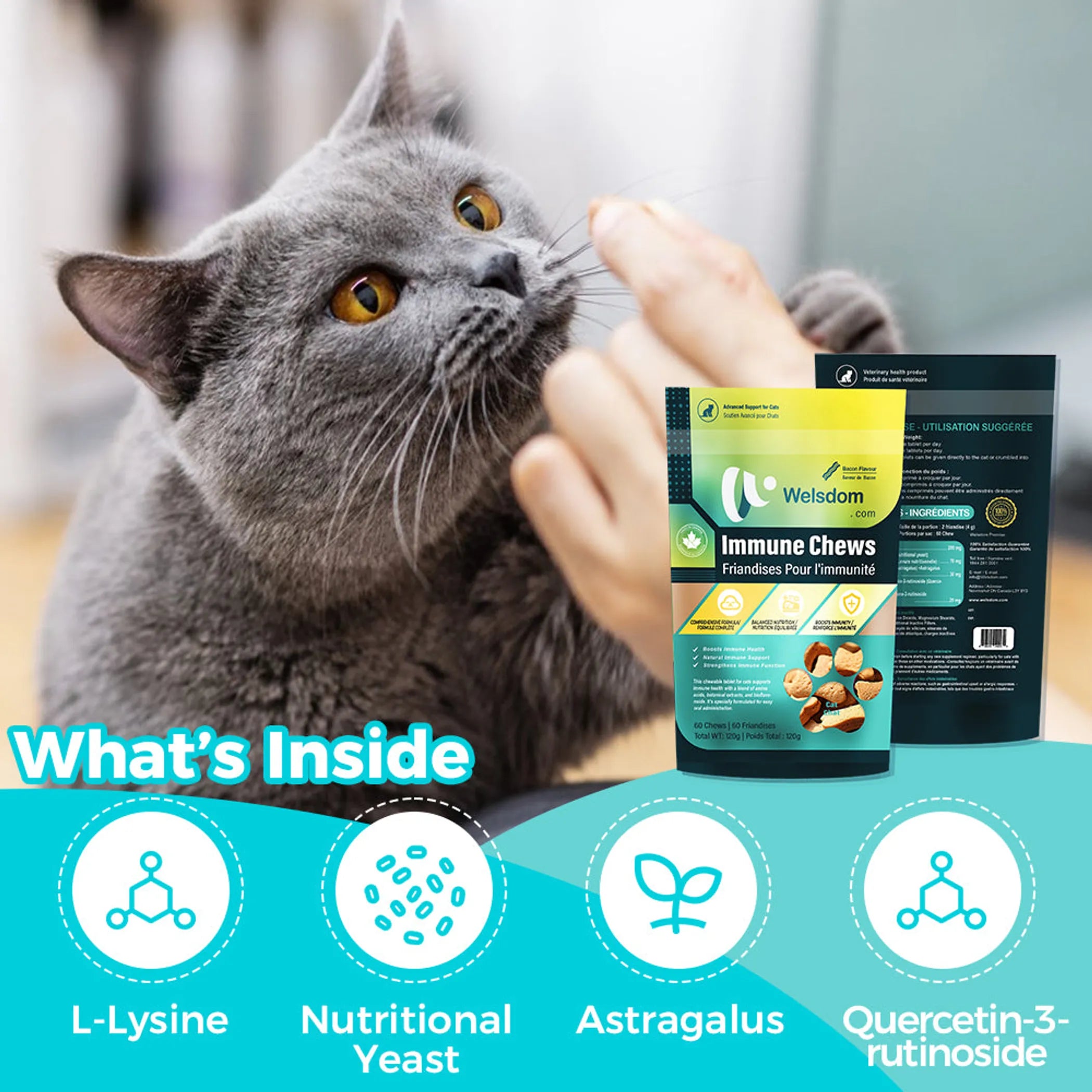 Cat Immune Chews - 60 Chews