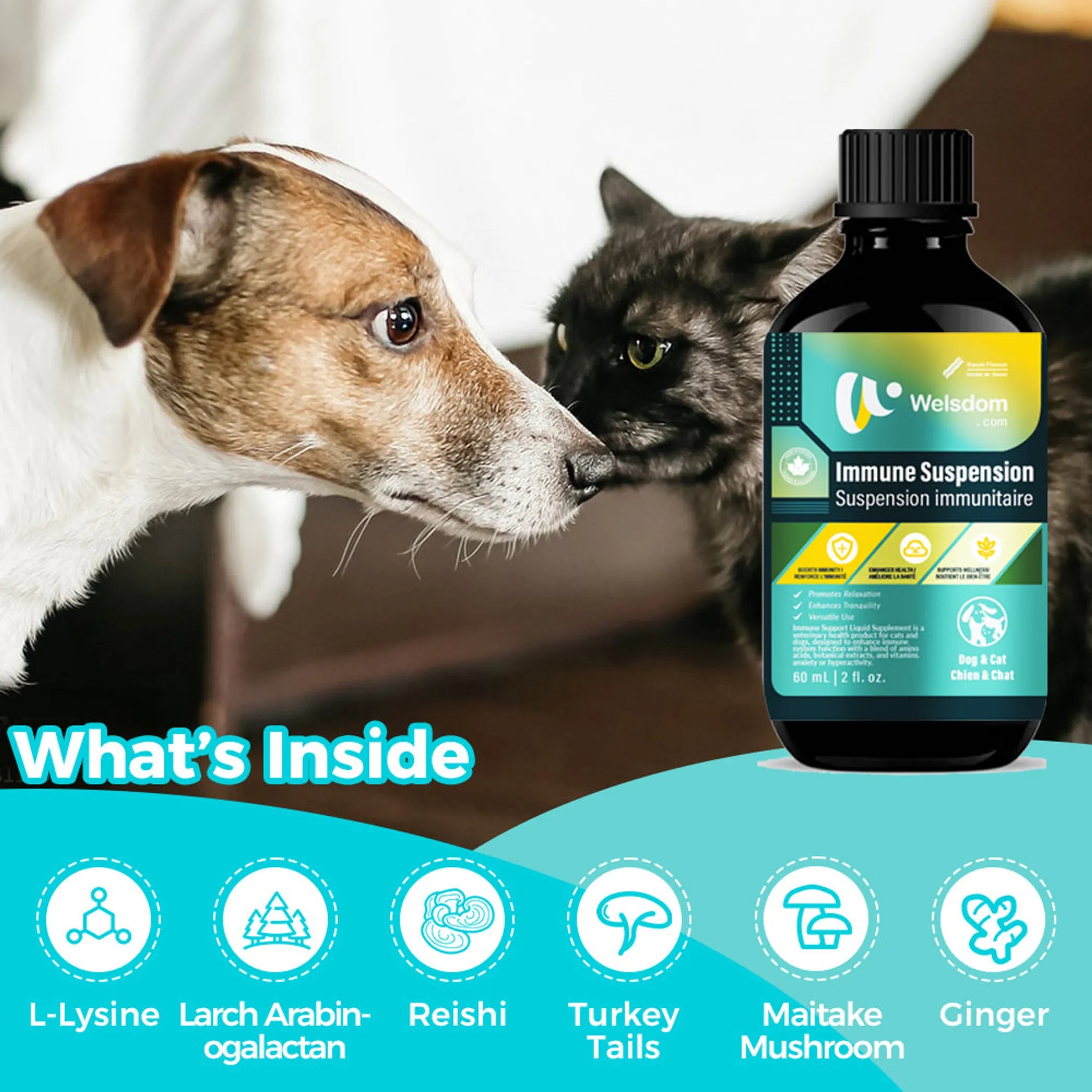 Immune Suspension  Canadian Vet-Approved Liquid (60mL)