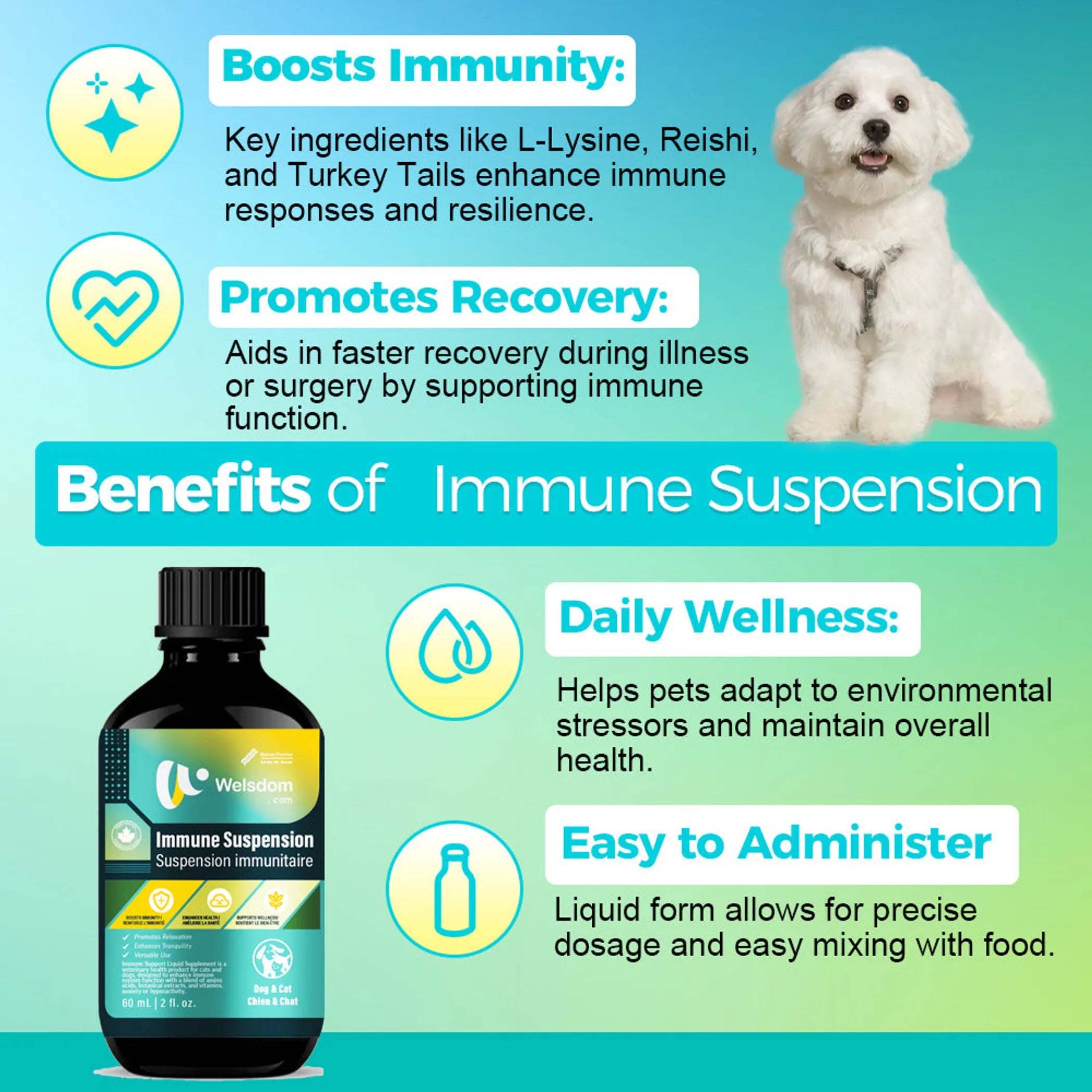Immune Suspension  Canadian Vet-Approved Liquid (60mL)