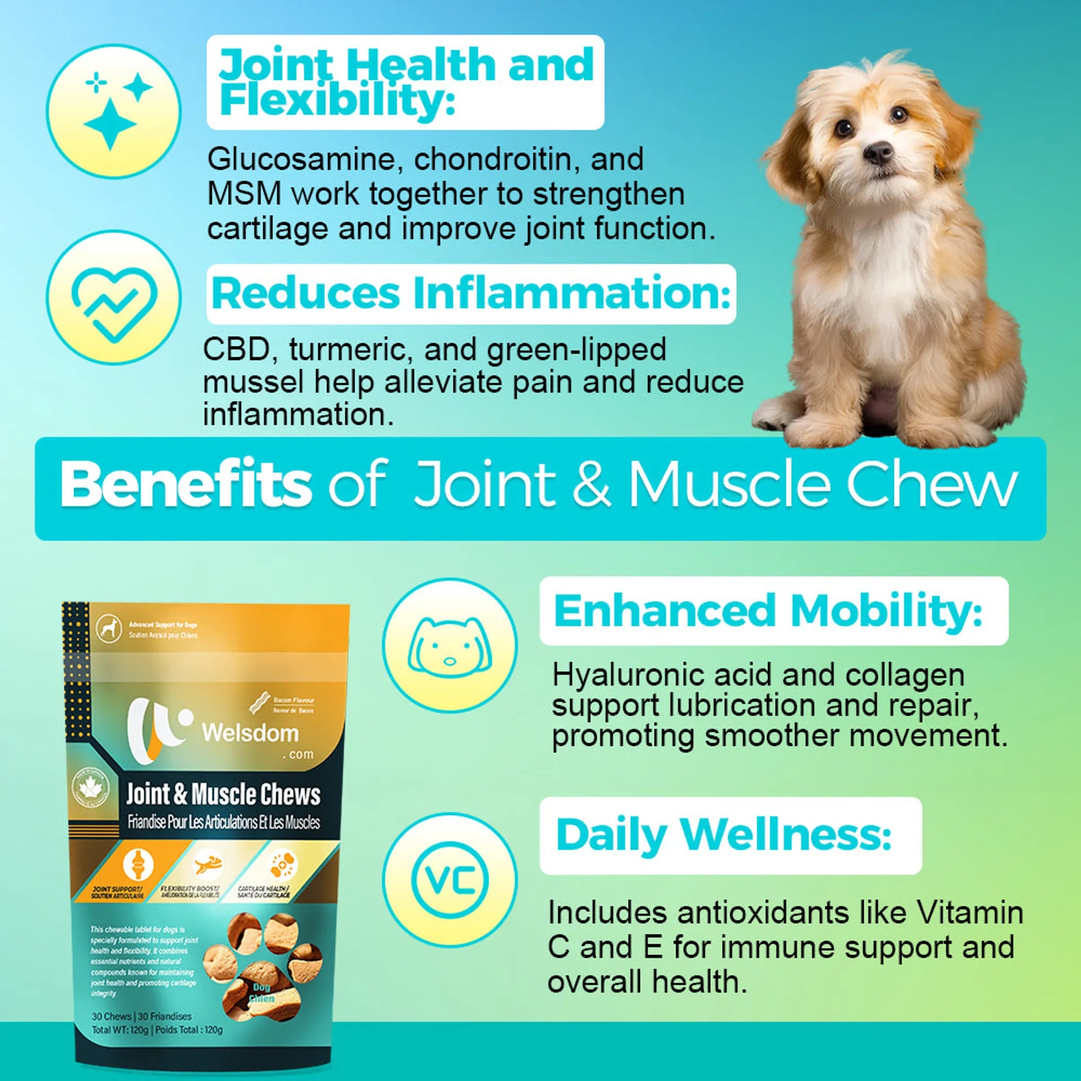 Joint & Muscle Chew - 30 Chews