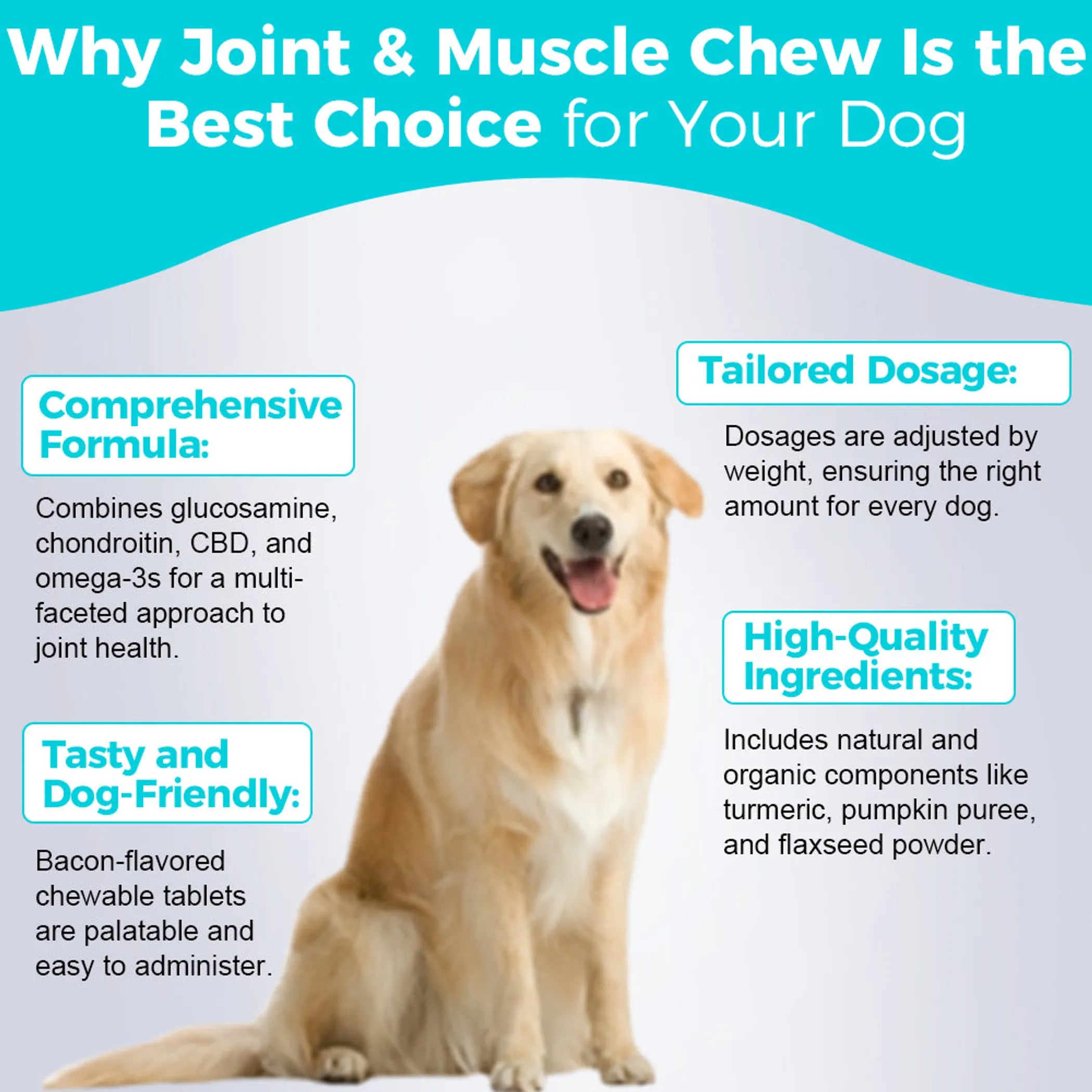 Joint & Muscle Chew - 30 Chews