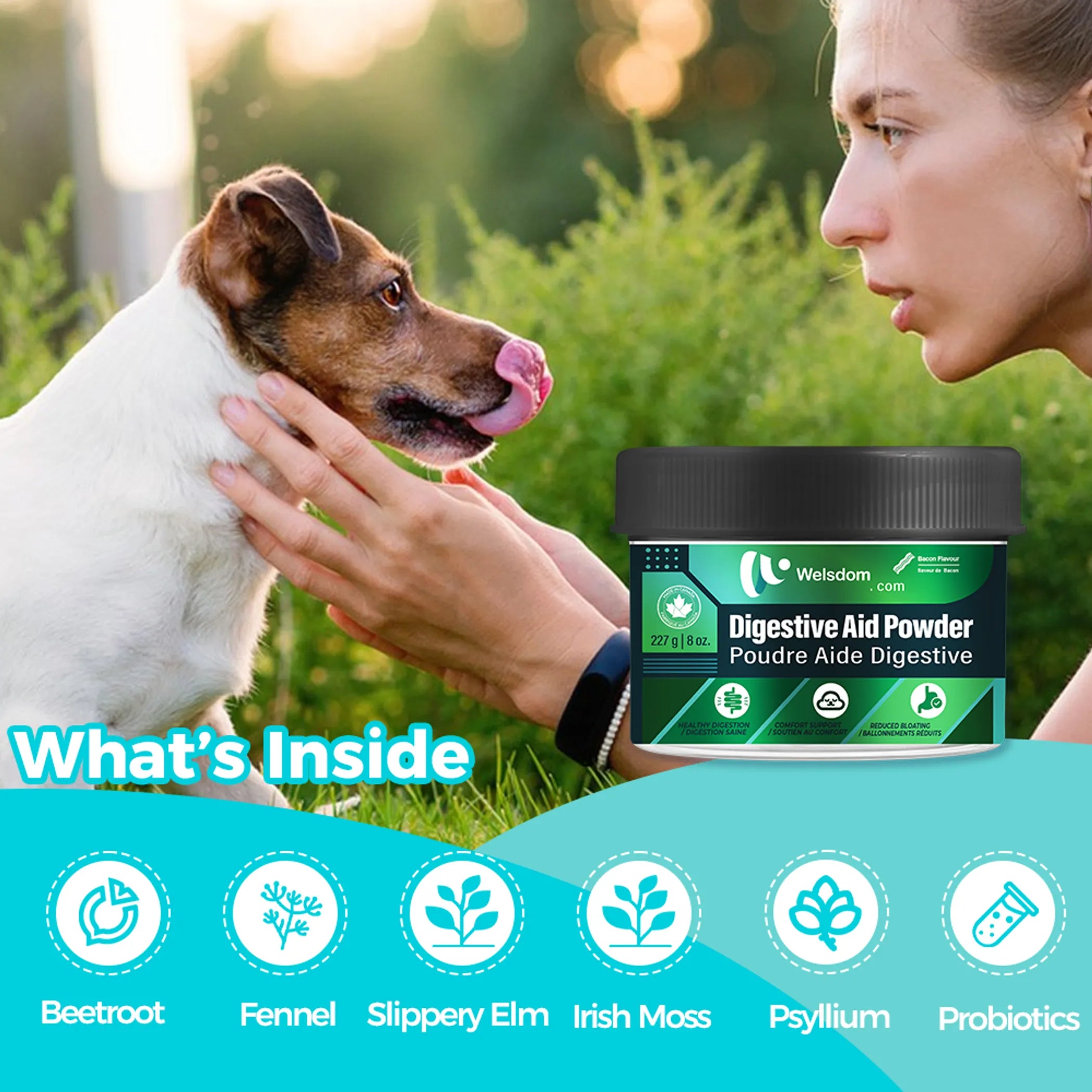 Dog Digestive Aid Powder