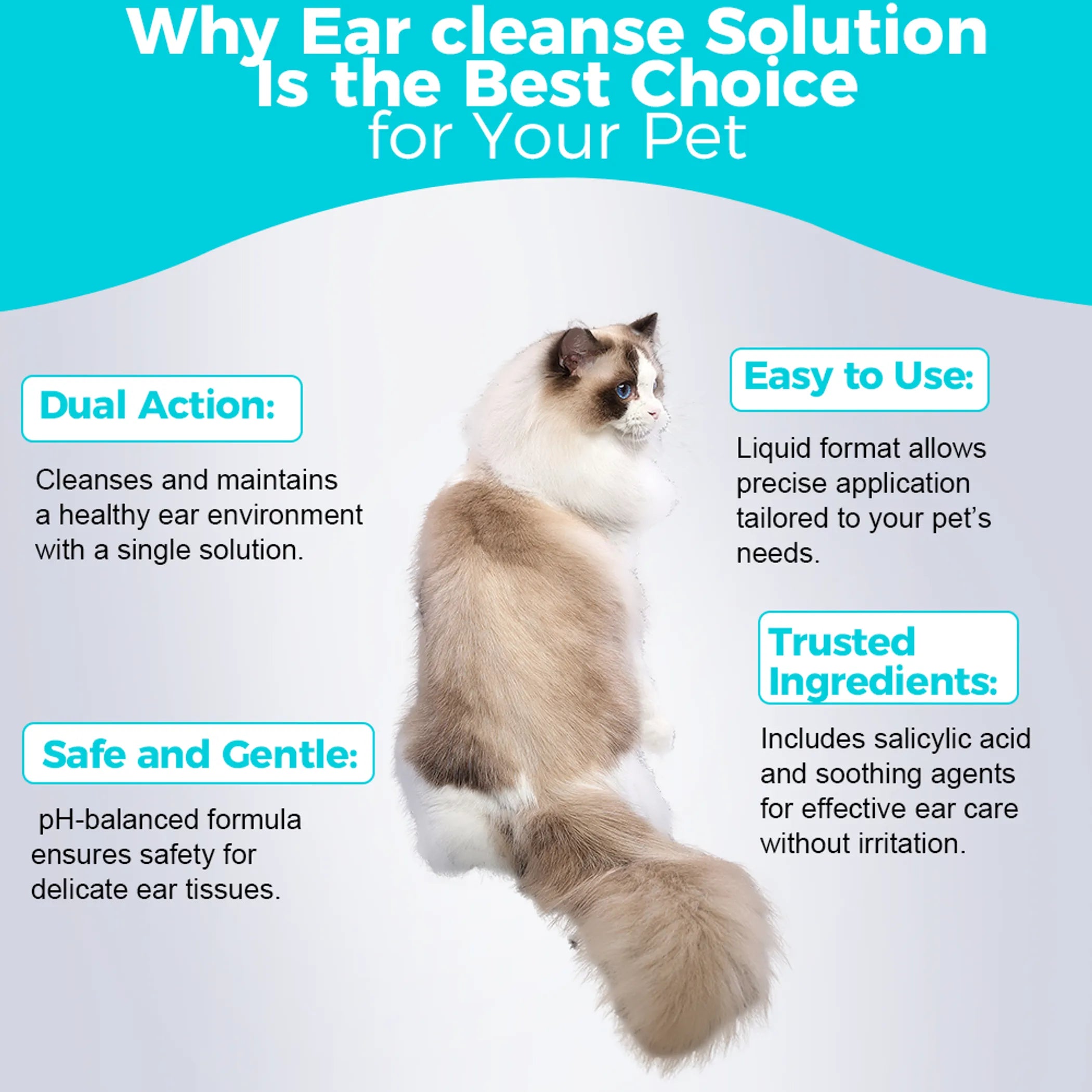 Ear Cleanse Solution  - 30mL