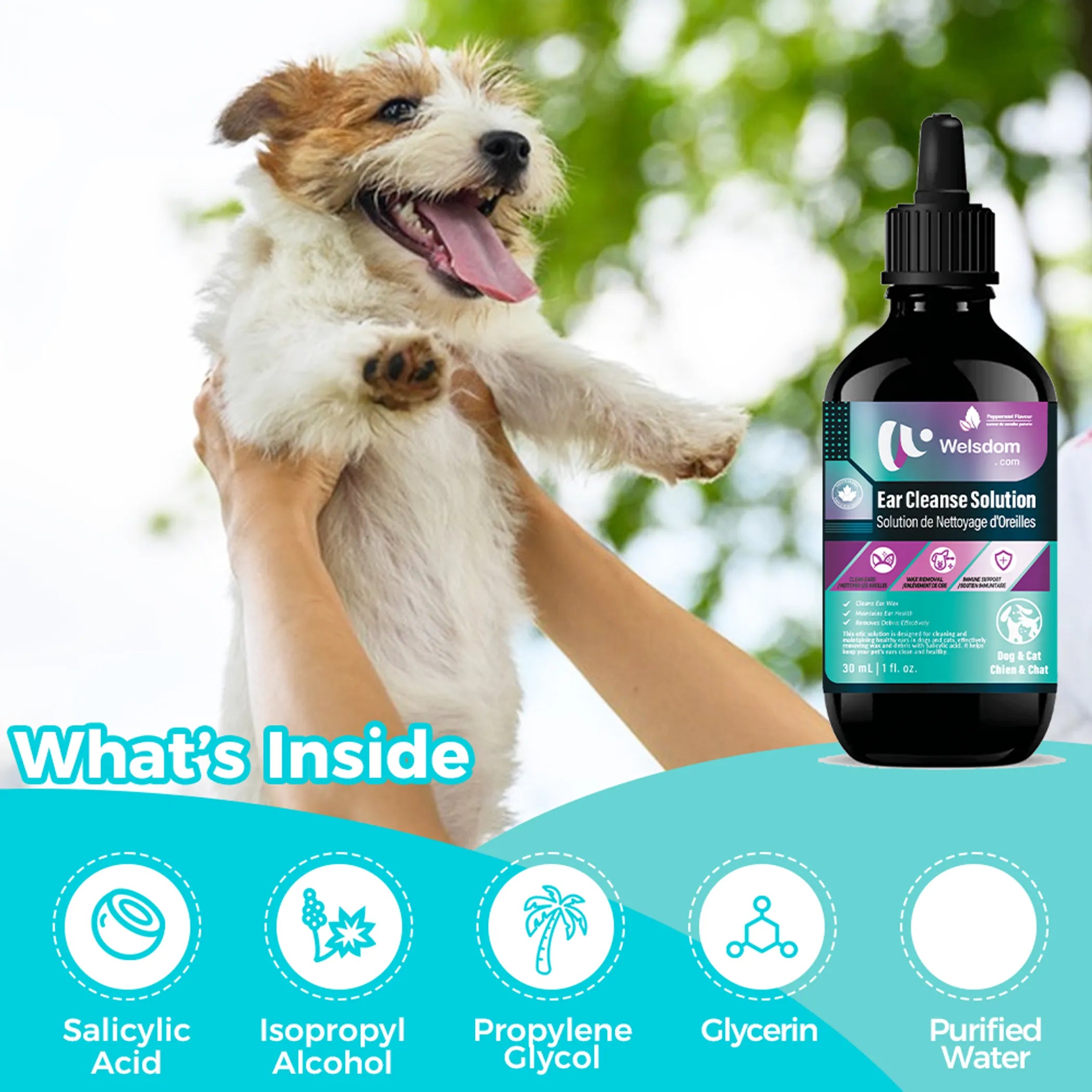 Ear Cleanse Solution  - 30mL
