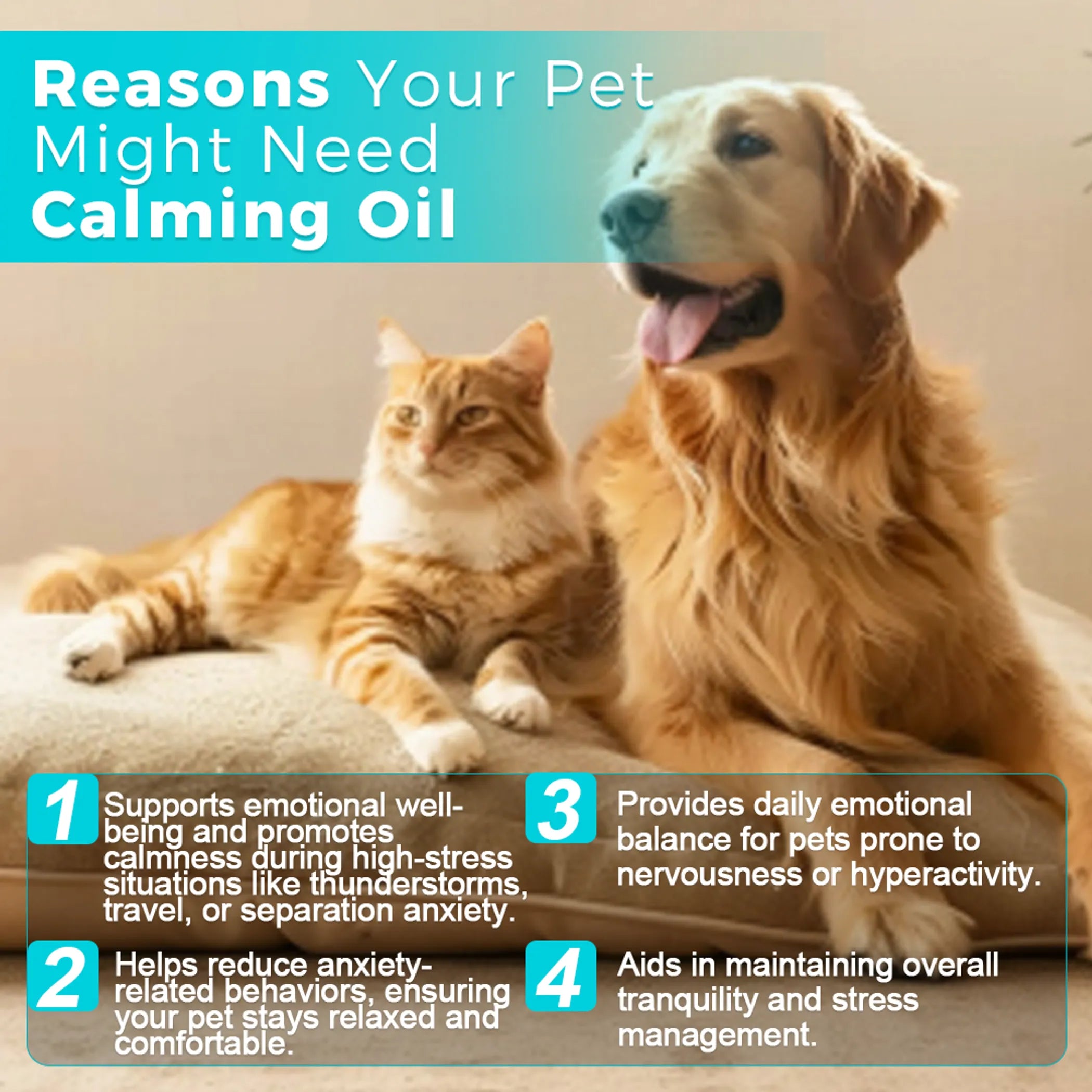 Paws & Relax! Canadian Calming Oil  60mL for Pet Tranquility