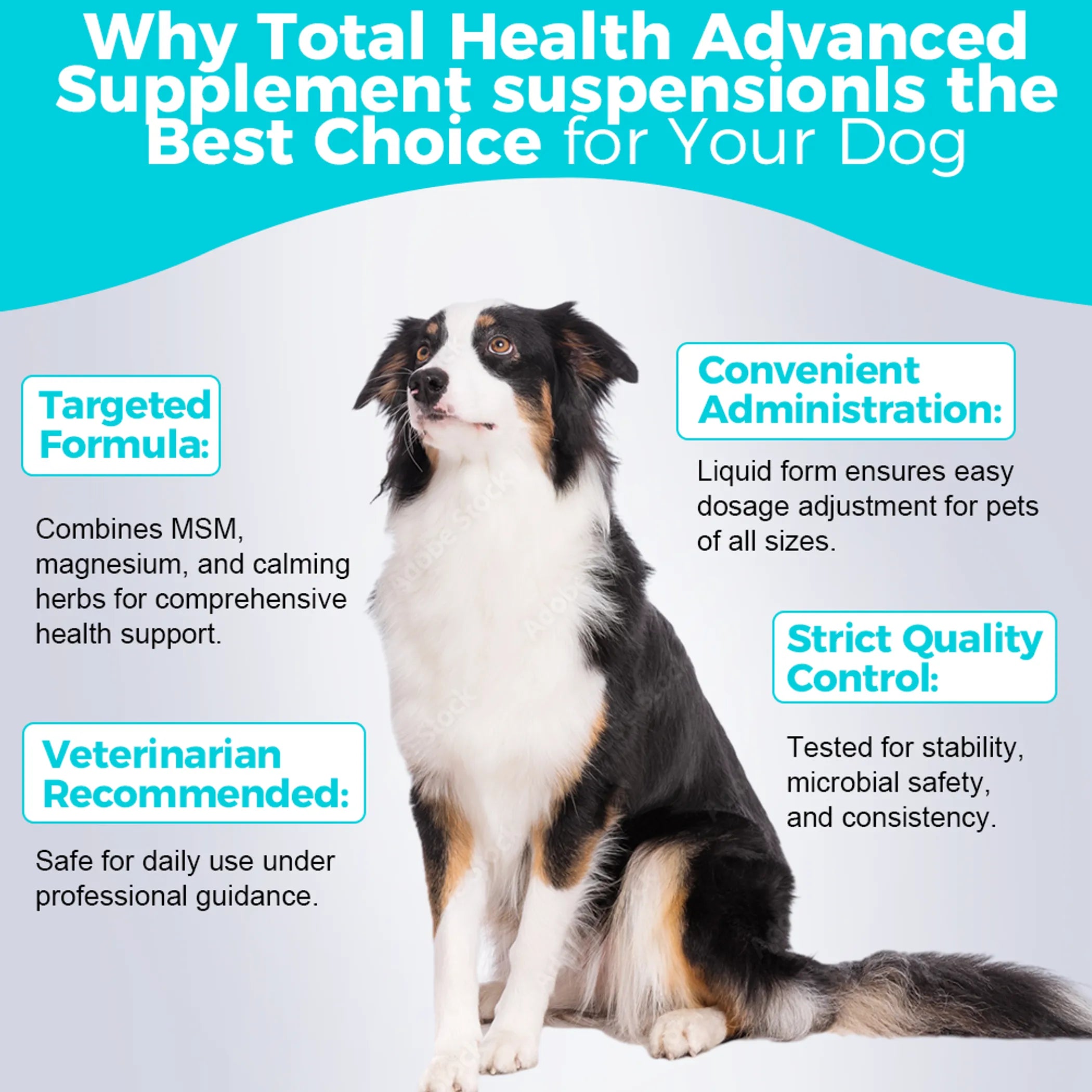 Total Health Advanced Supplement Suspension - 240mL