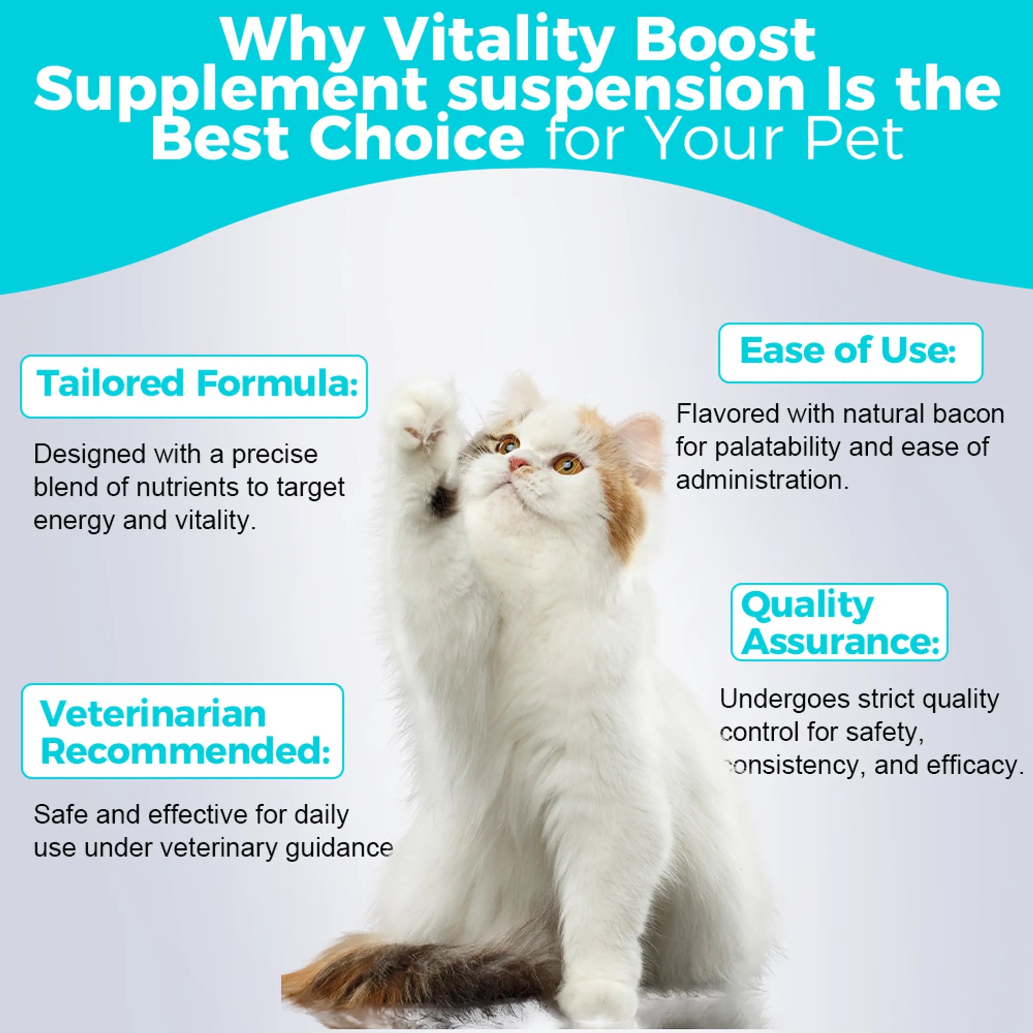 Vitality Boost Liquid Supplement for Pets | Energy & Health Support