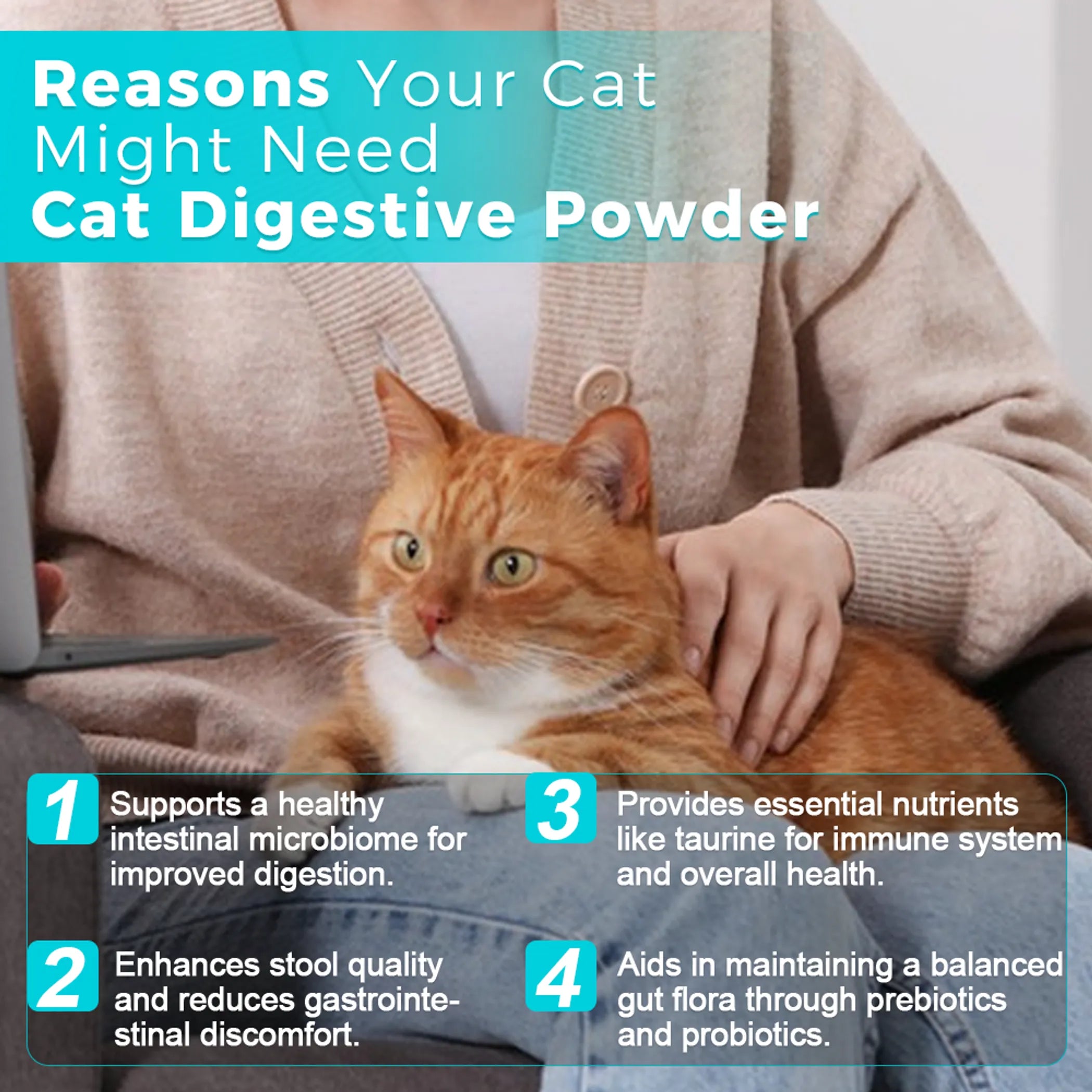 Cat Digestive Powder