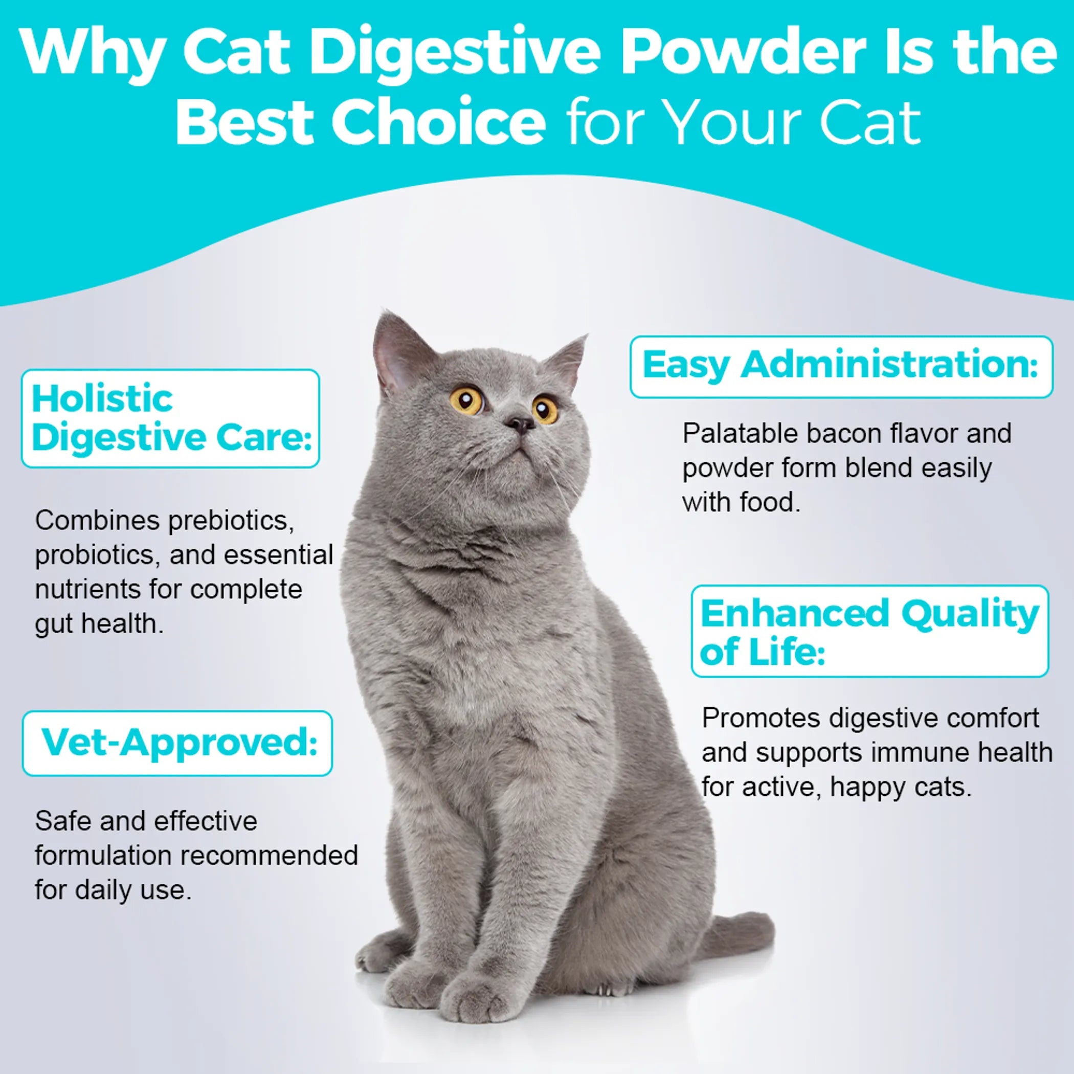Cat Digestive Powder