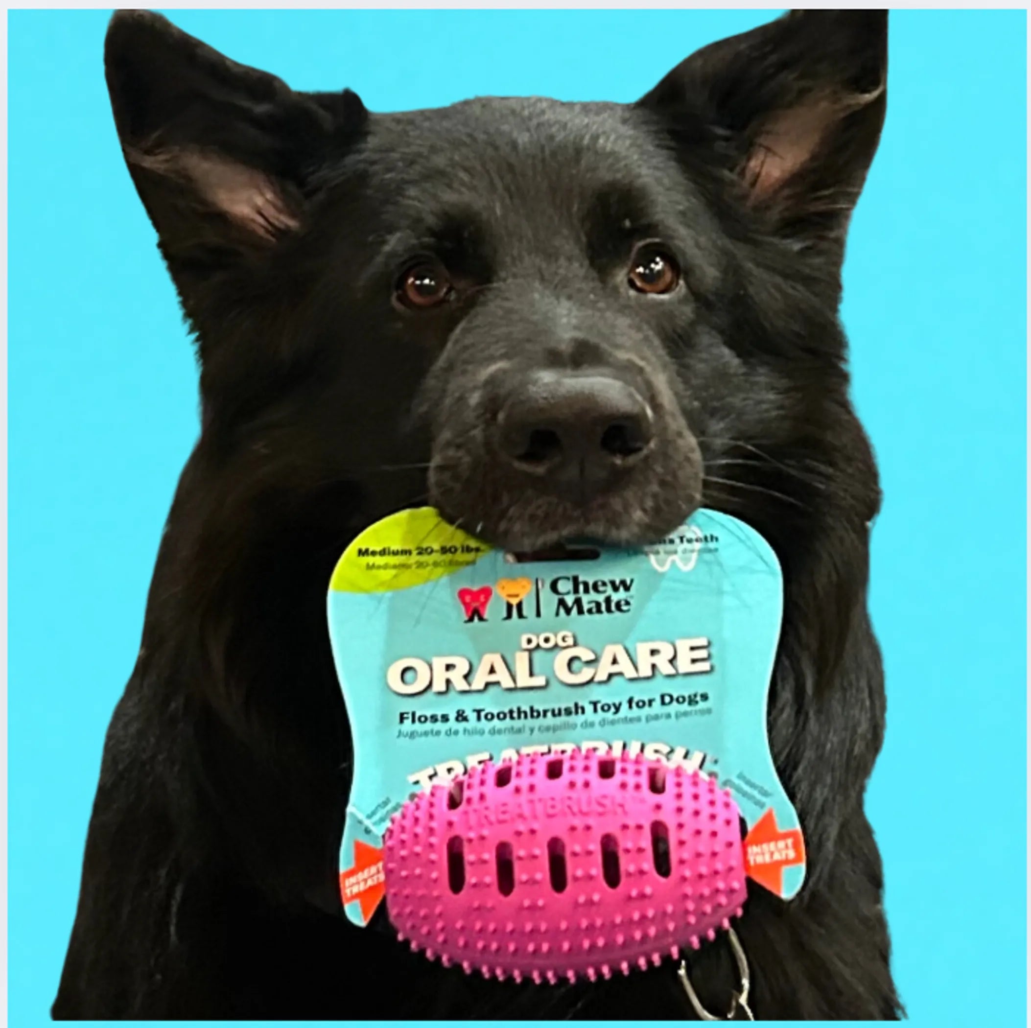 Natural Rubber Football Oral Care Toy