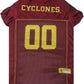 Iowa State Pet Jersey - Pets Perfect