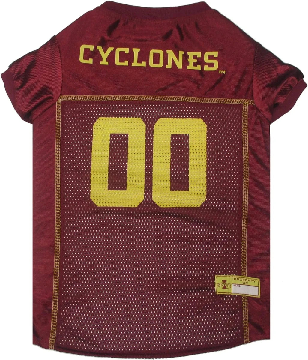 Iowa State Pet Jersey - Pets Perfect