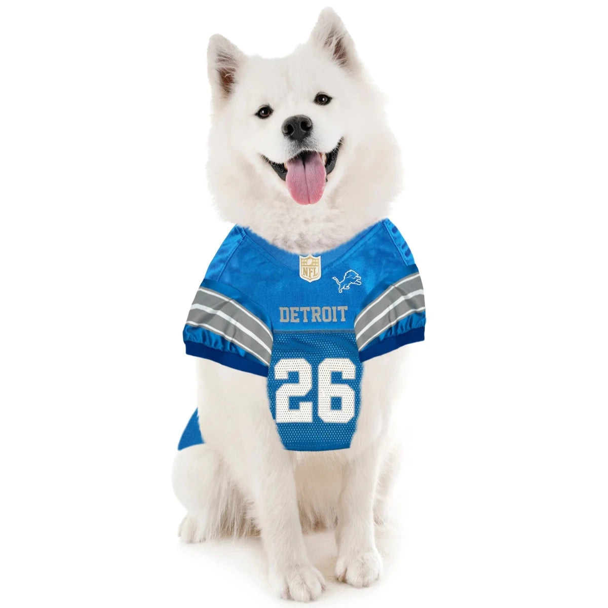 Jahmyr Gibbs Pet Striped Jersey (Det) - Pets Perfect