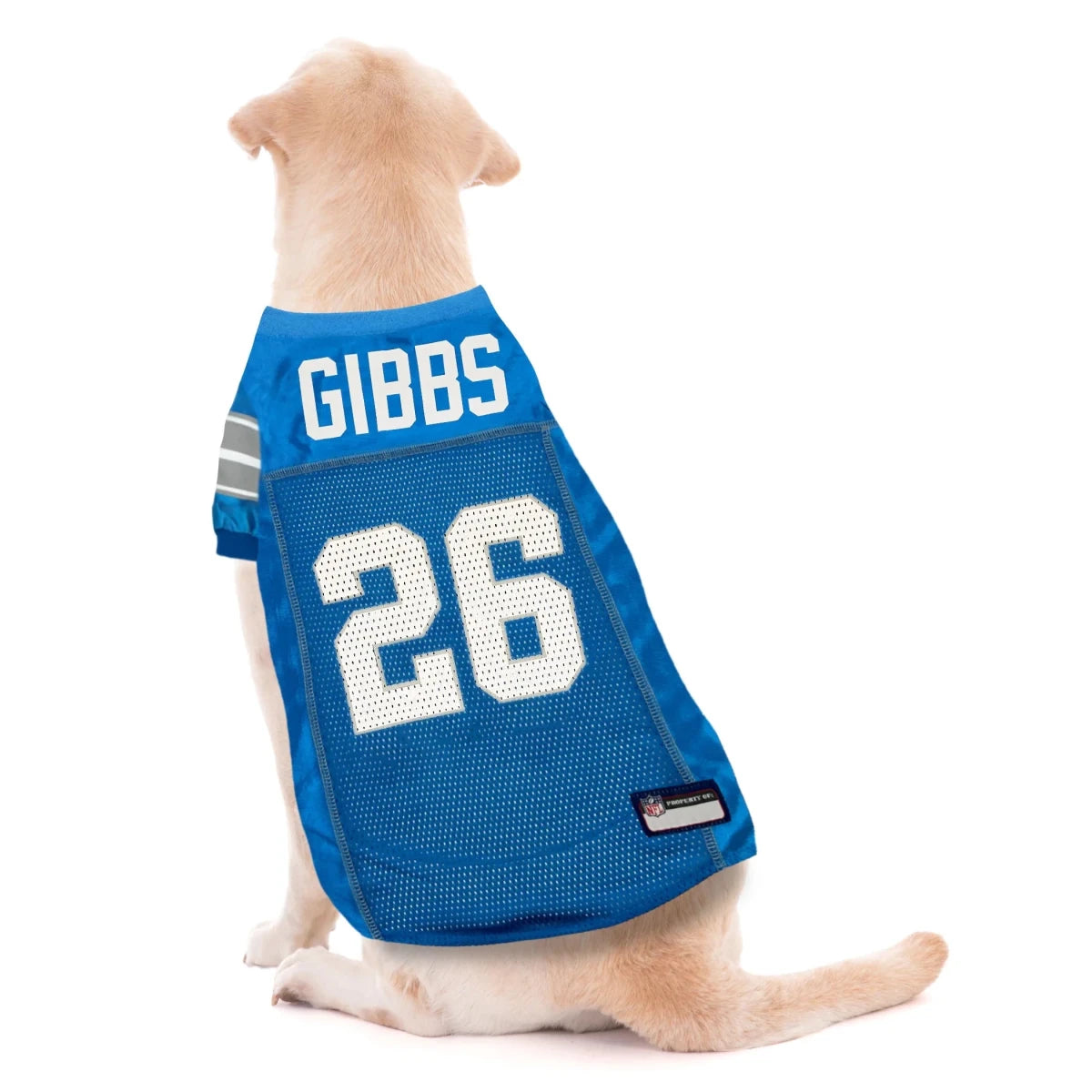 Jahmyr Gibbs Pet Striped Jersey (Det) - Pets Perfect