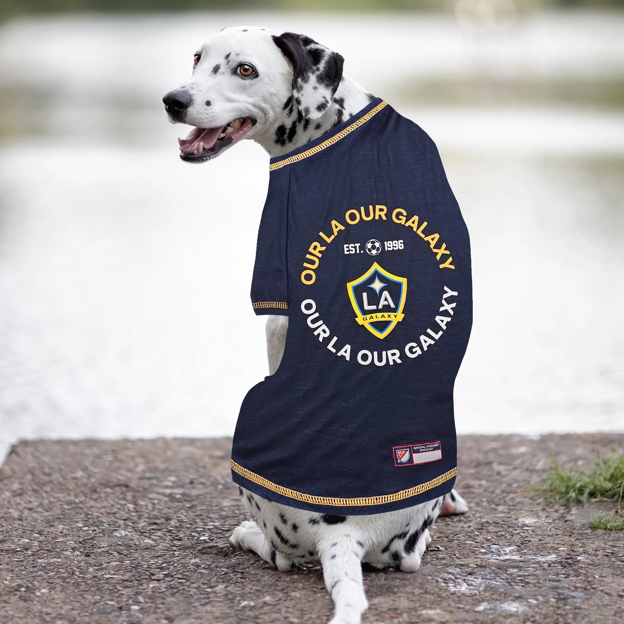 LA Galaxy Pet Tee Shirt