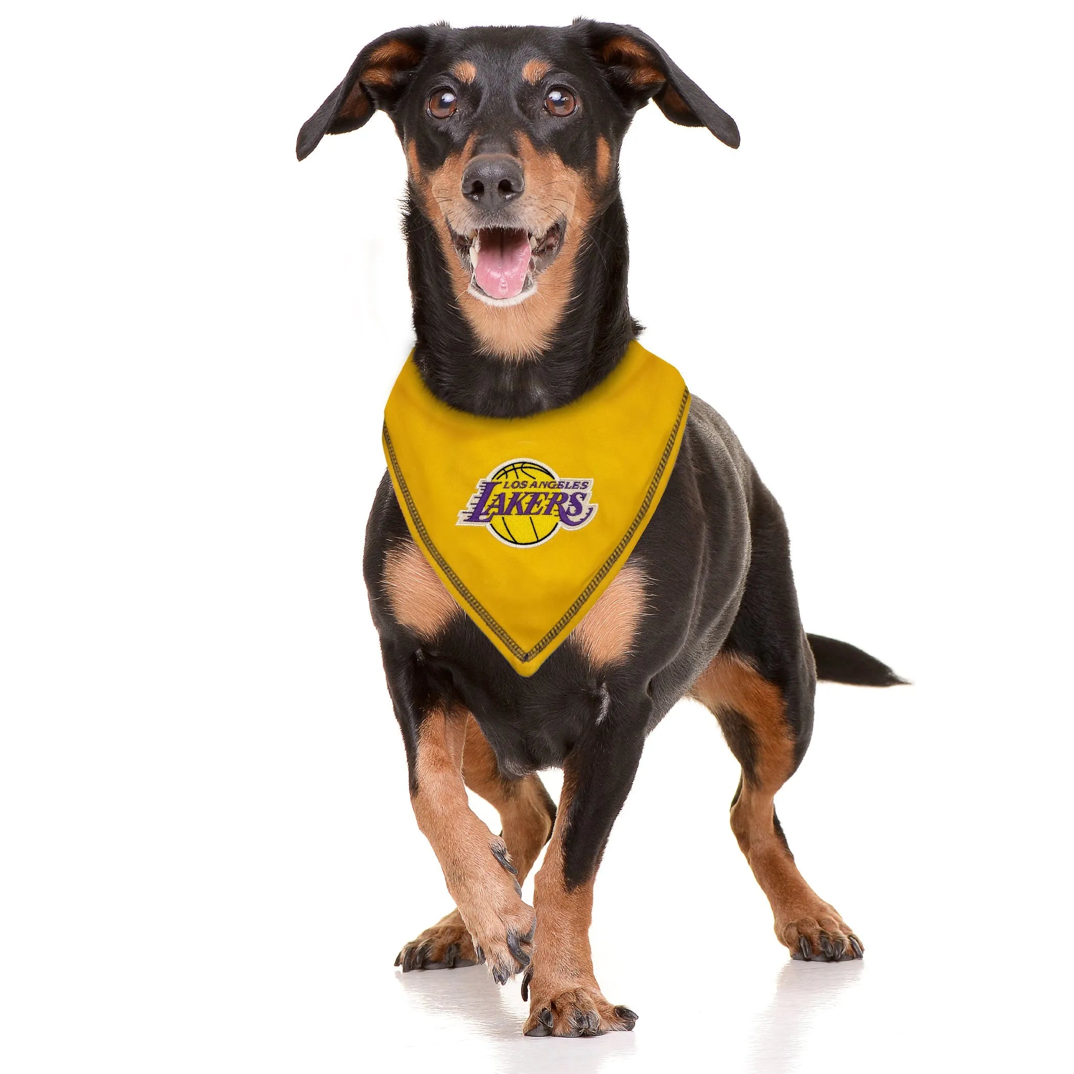 LA LAKERS TIE AROUND BANDANA