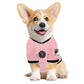Lionel Messi Player Pet Jersey (IMC) - Pets Perfect