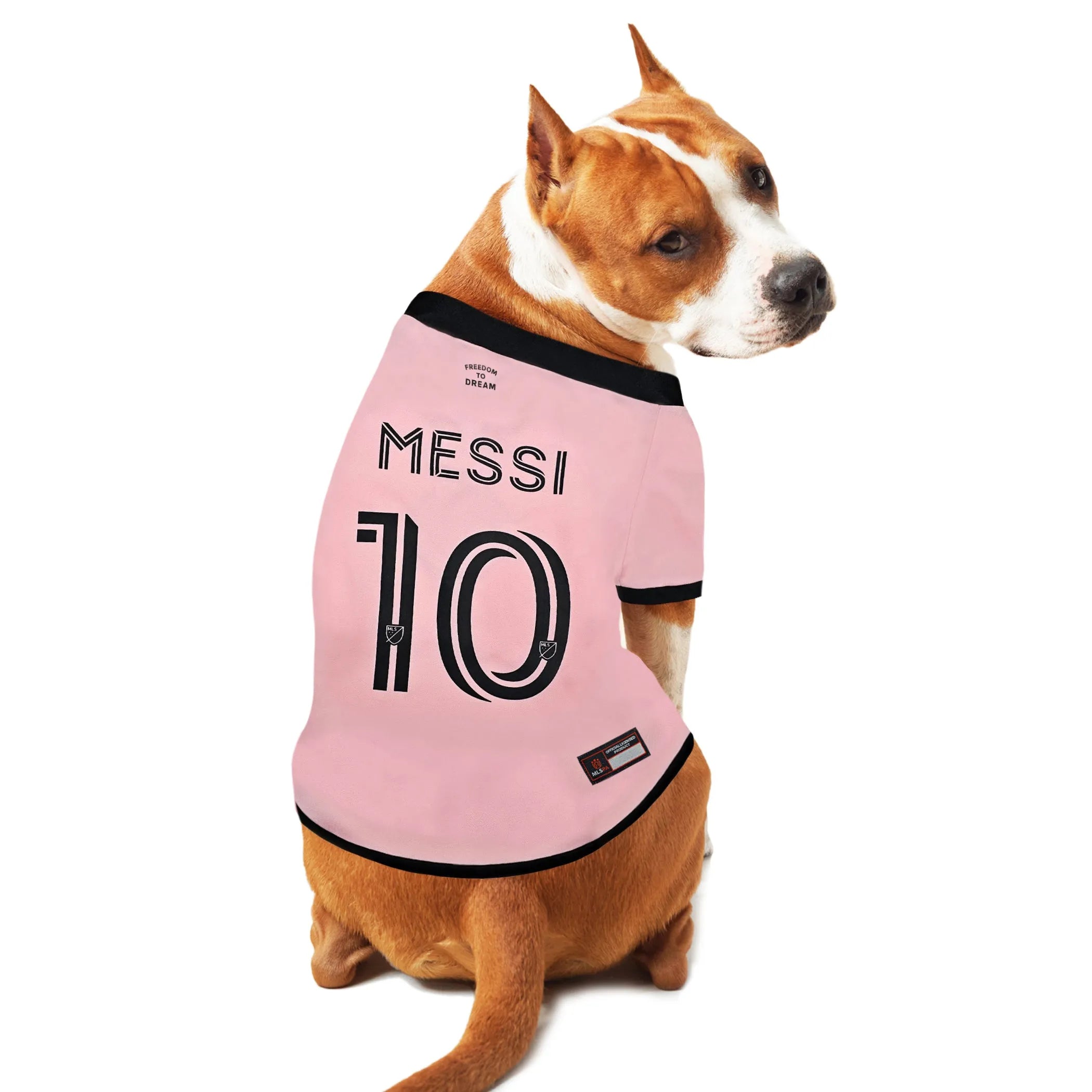 Lionel Messi Player Pet Jersey (IMC)