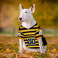 Pittsburgh Steelers Bumble Bee Throwback Jersey - Pets Perfect