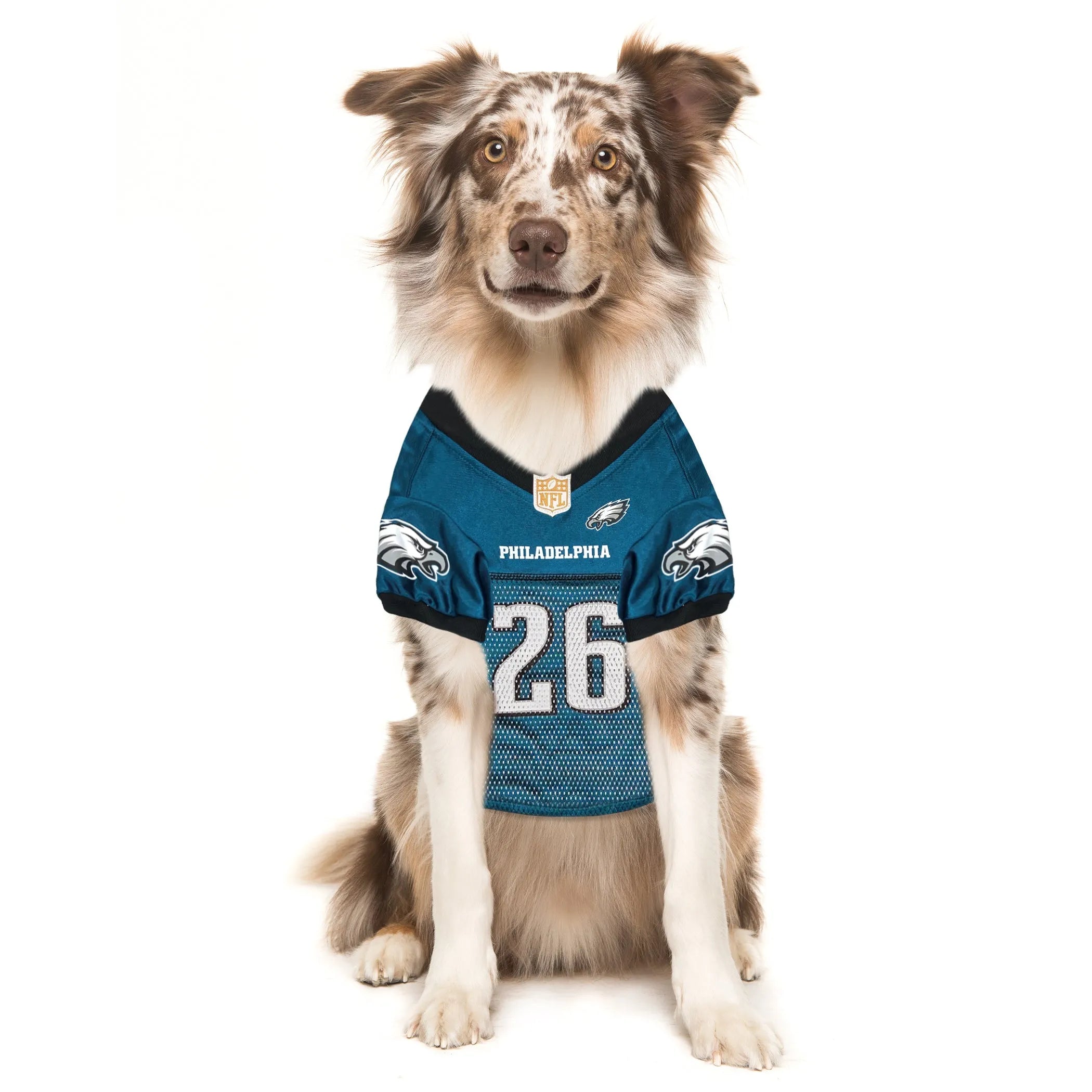 SAQUON BARKLEY PLAYER PET JERSEY (PHL)