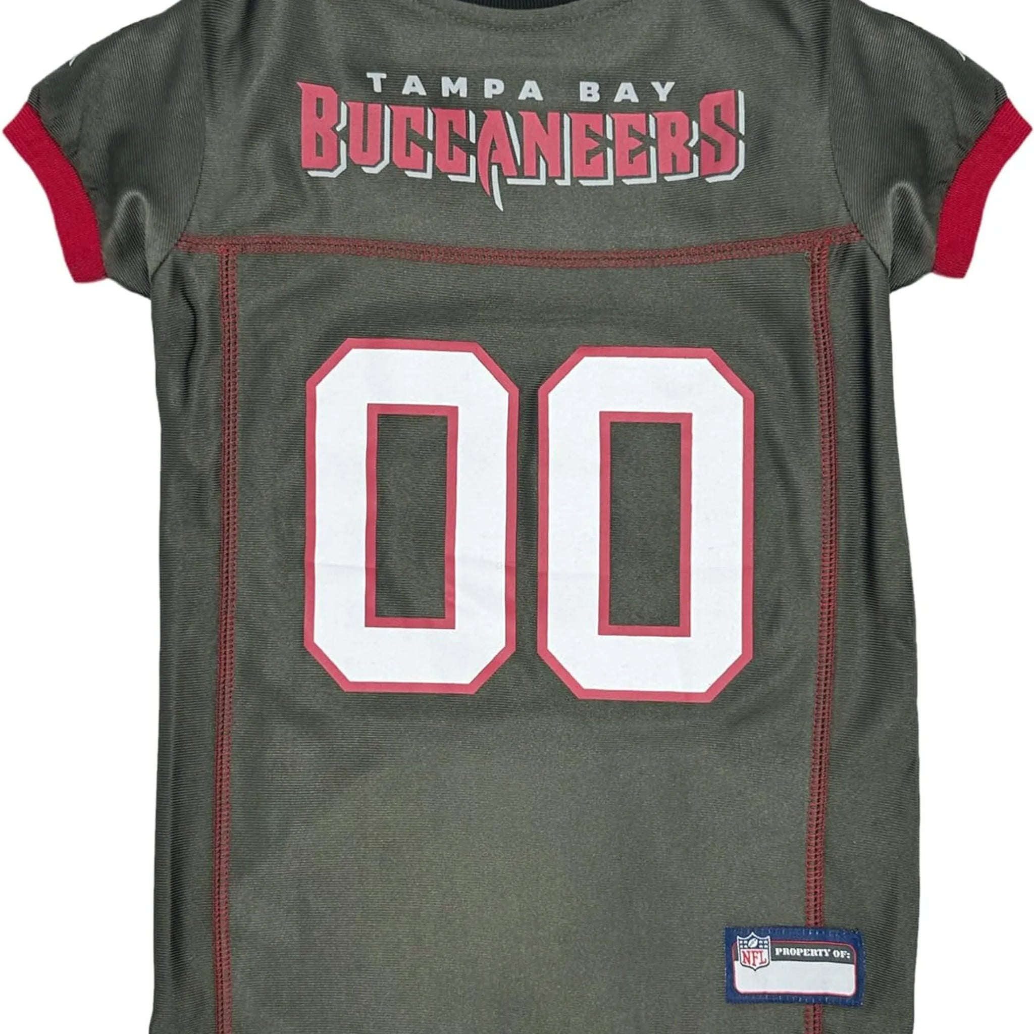 Tampa Bay Buccaneers Color Rush Pet Jersey