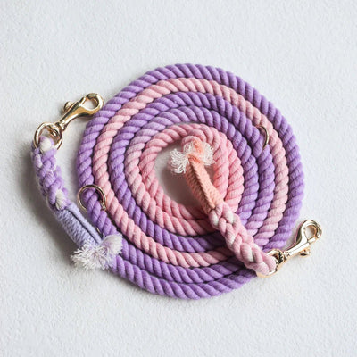 Hands-Free Dog Rope Dog Leash - Rosy Garden