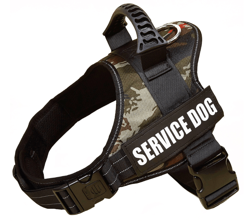 Explosafe Pet Leash: The Ultimate Safety Harness For Your Furry Friend - Pets Perfect
