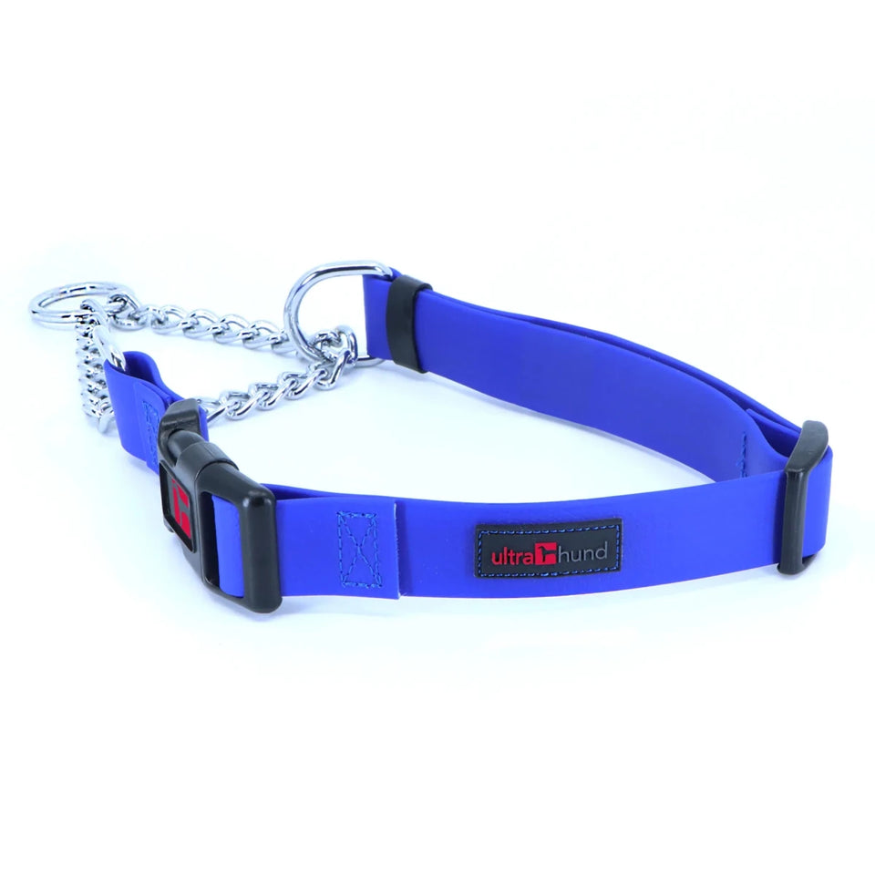 Play Martingale Dog Collar - Pets Perfect