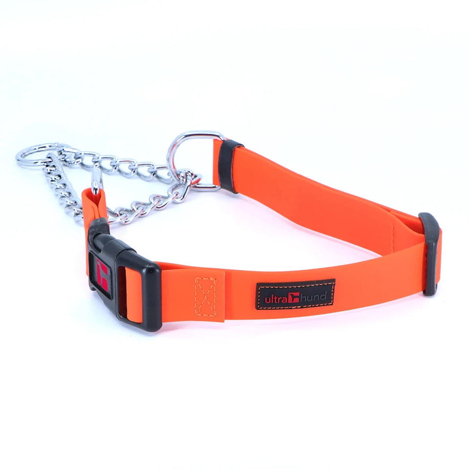 Play Martingale Dog Collar - Pets Perfect