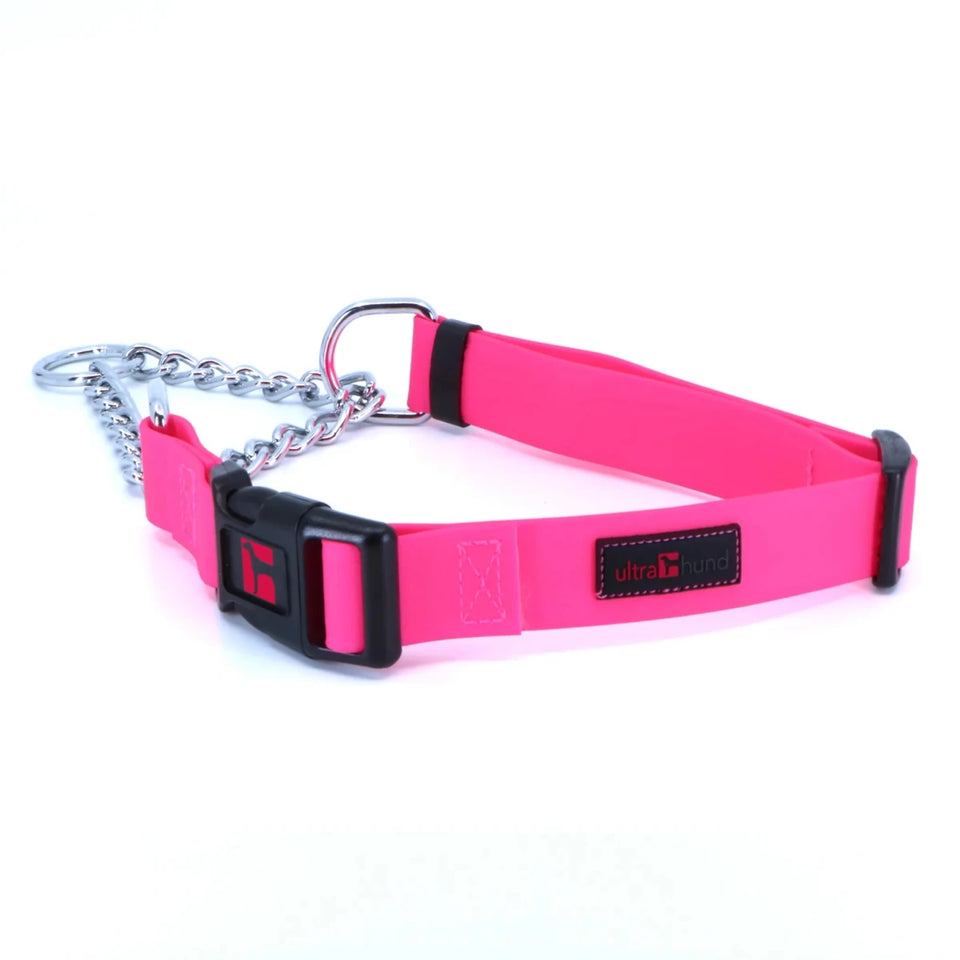 Play Martingale Dog Collar - Pets Perfect