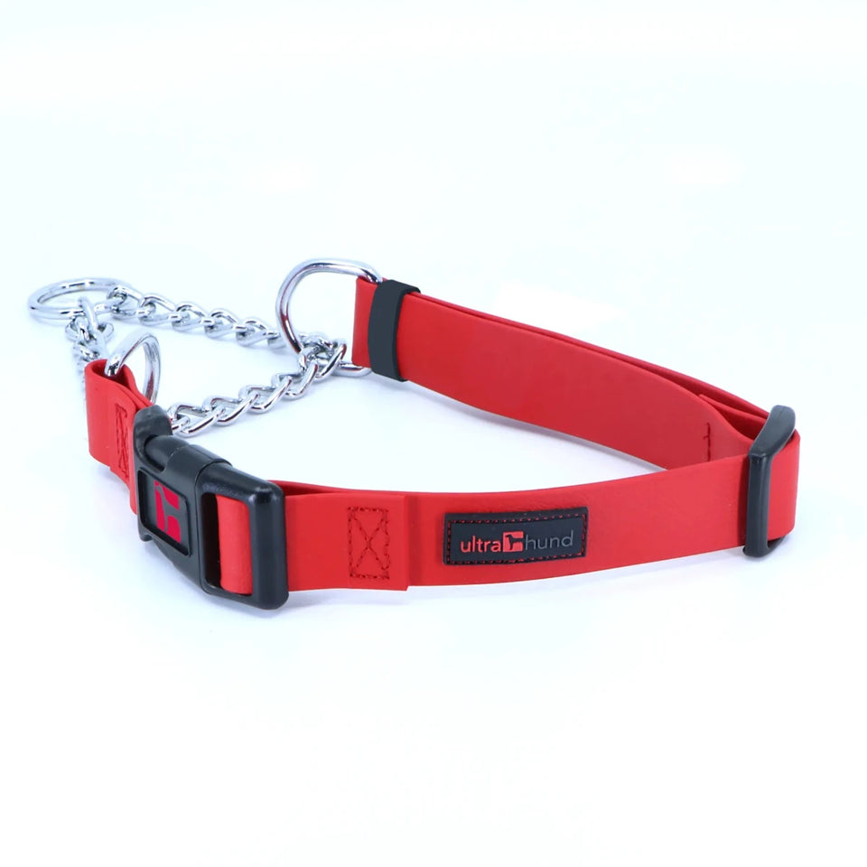 Play Martingale Dog Collar - Pets Perfect