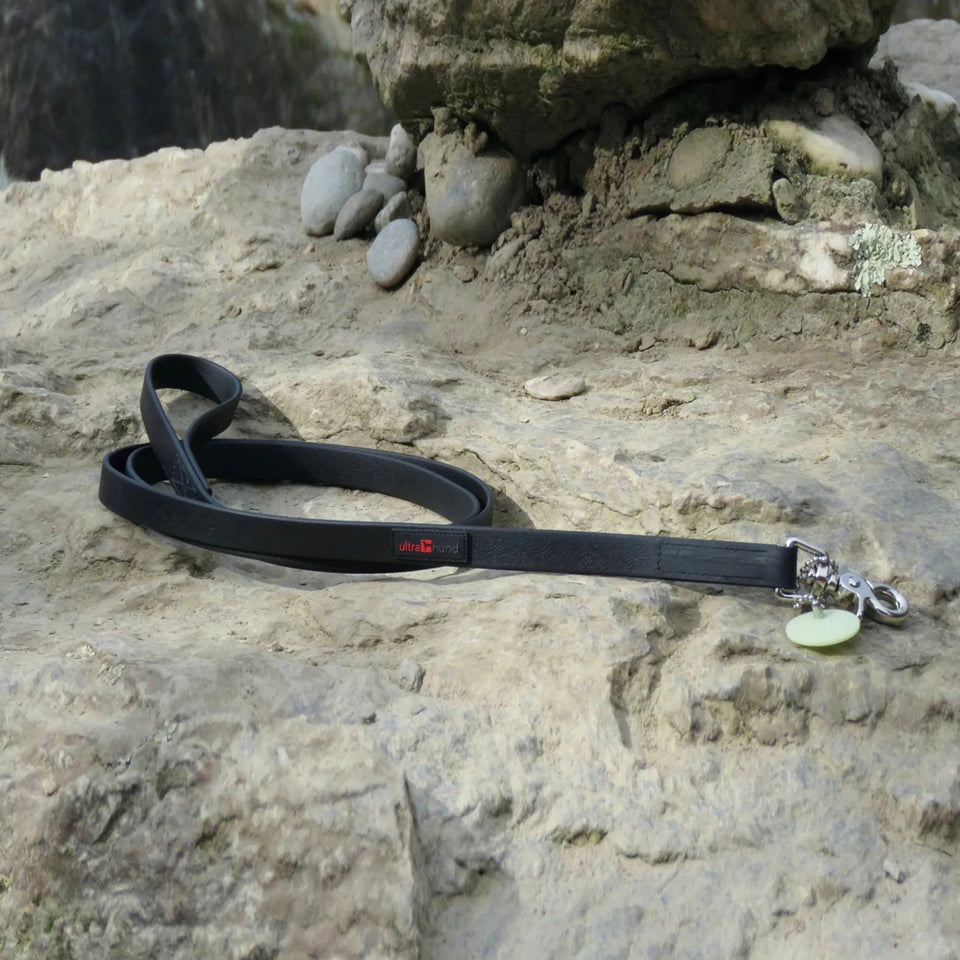 Boss Regular Dog Leash - Pets Perfect