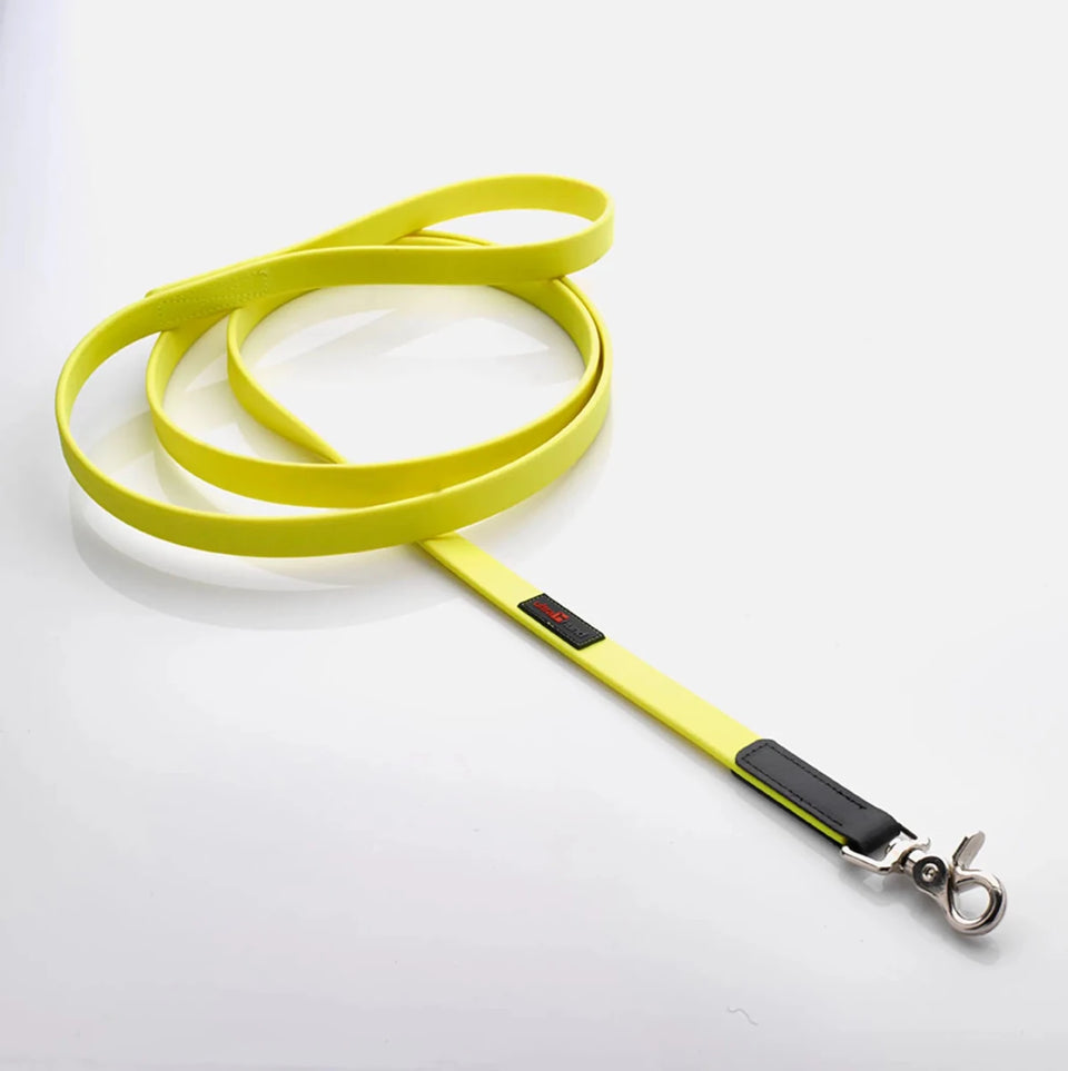 Boss Regular Dog Leash - Pets Perfect