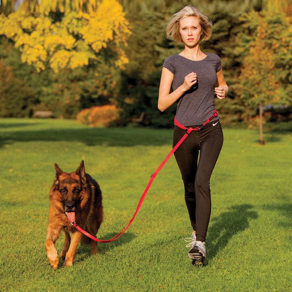 Boss Adjustable Dog Leash - Pets Perfect