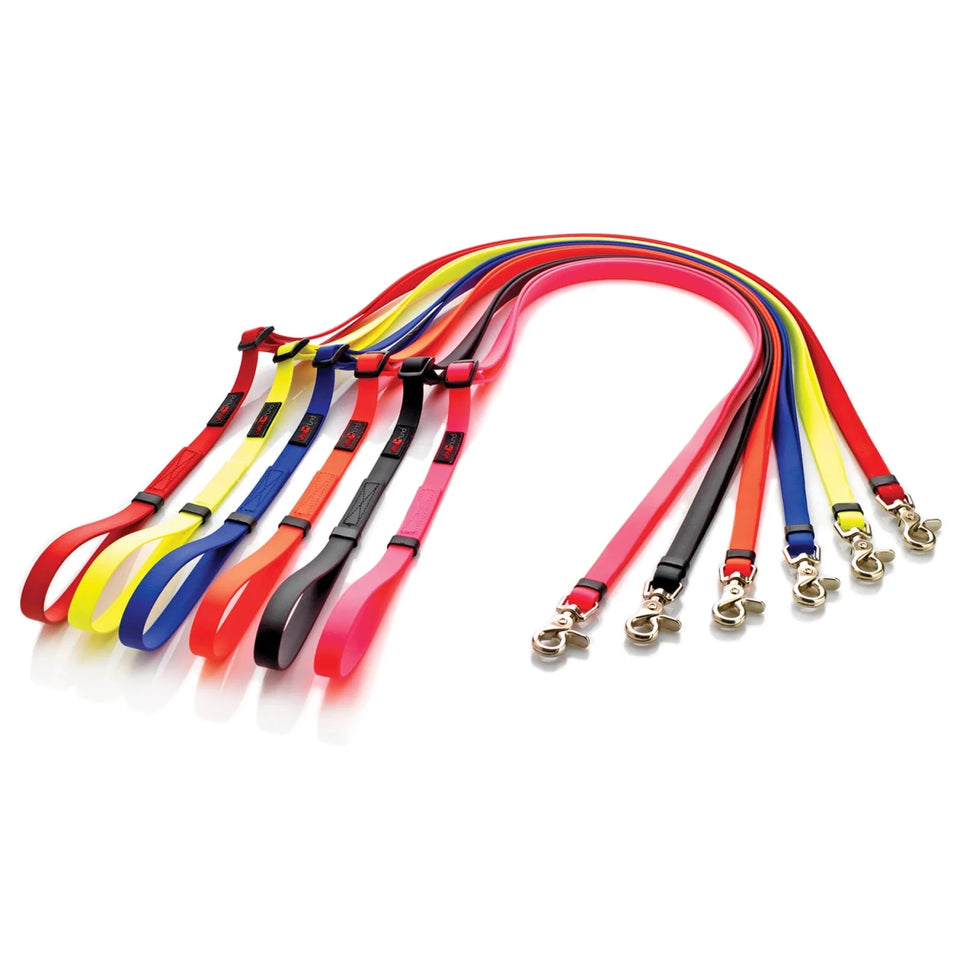 Boss Adjustable Dog Leash - Pets Perfect