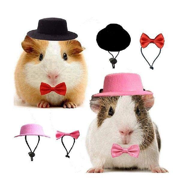 Felt Hat & Bow Tie Set for Small Pets - Festive Costume Accessory - Pets Perfect