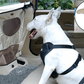 Pet Guard Car Rear Seat Safety Barrier